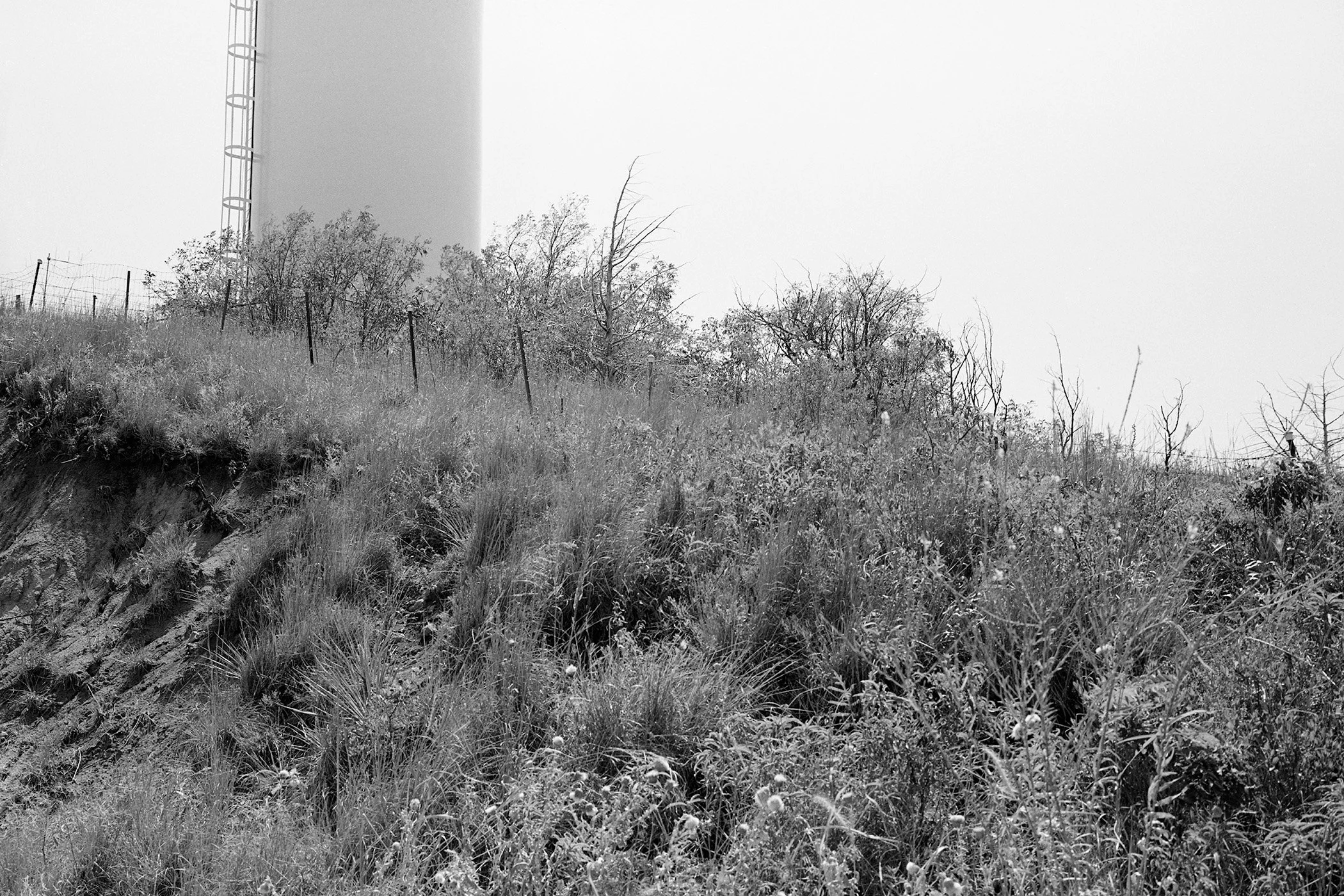 Alexandra-Parker_TOWER.jpg