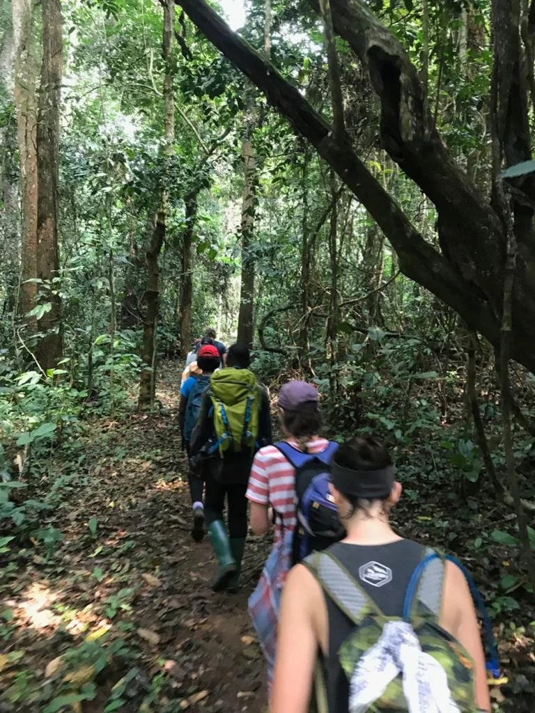 Évaluation de la conservation dans la réserve faunique de Dja, Cameroun.