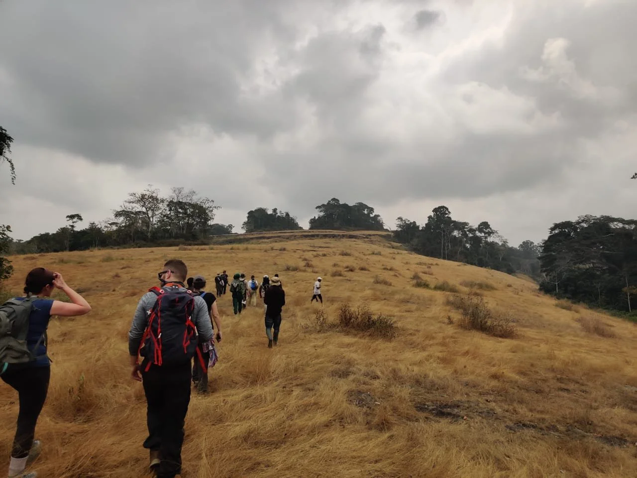 Overview of the Dja Faunal Reserve, Cameroon