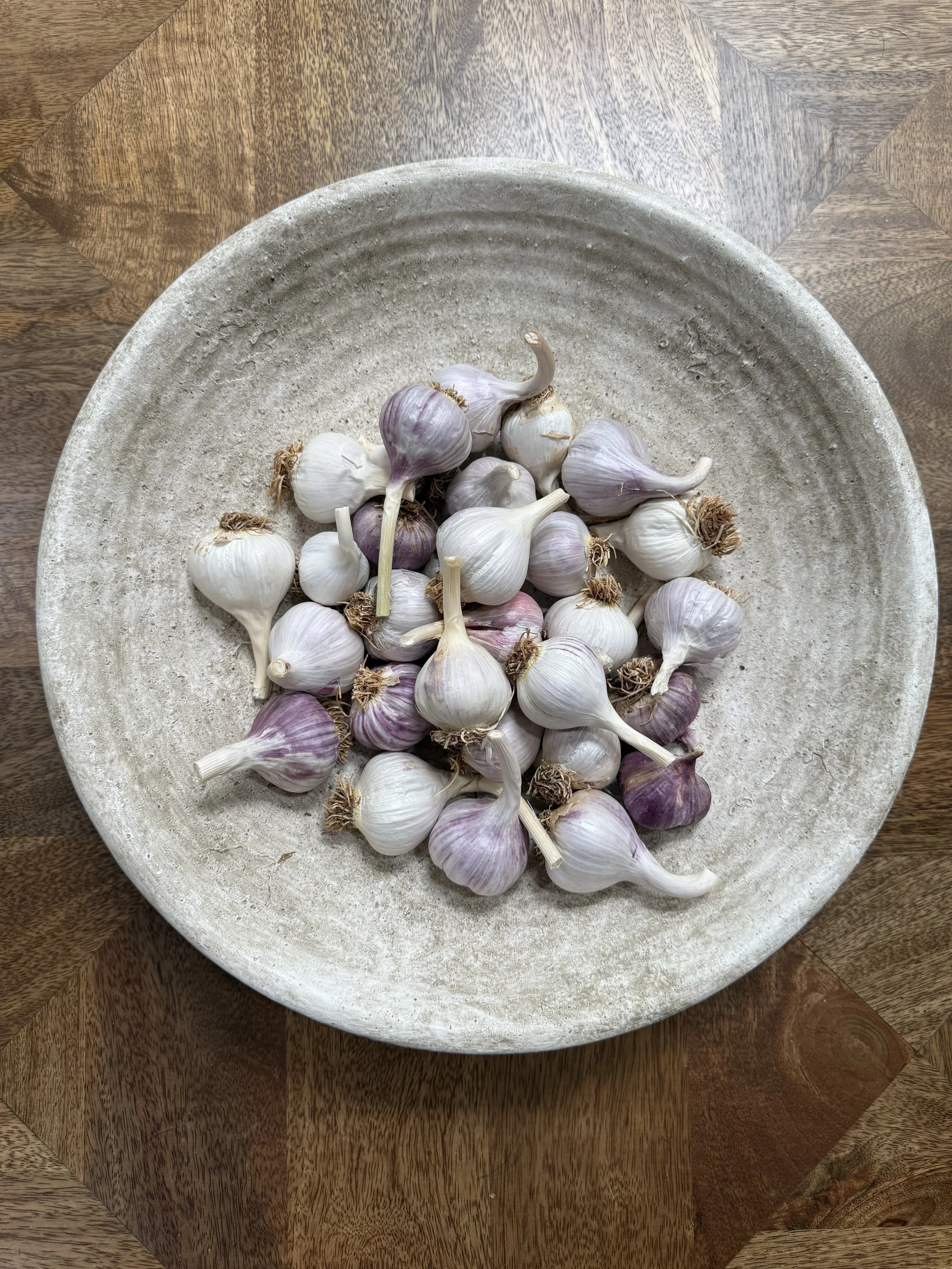 Mixed Variety Petite Heirloom Garlic