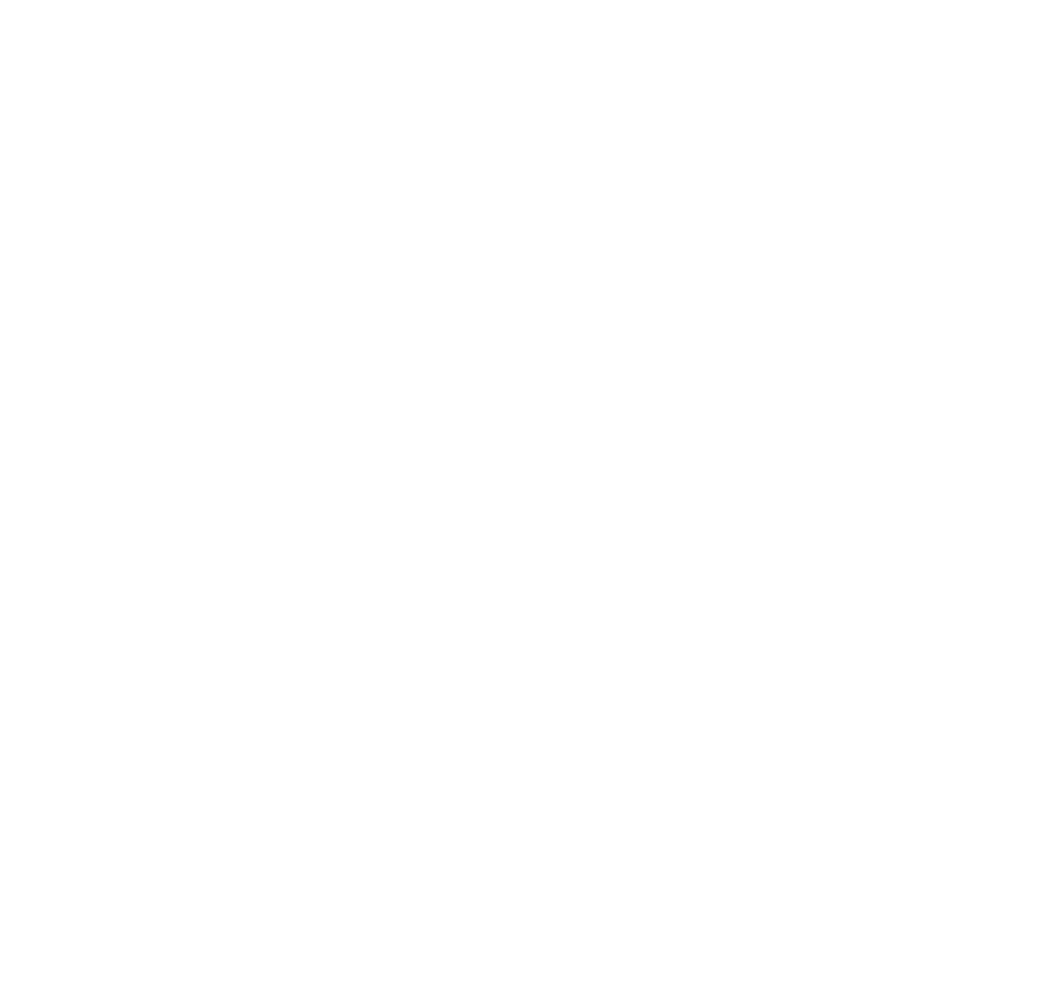 Sleepy Sleeps Co.