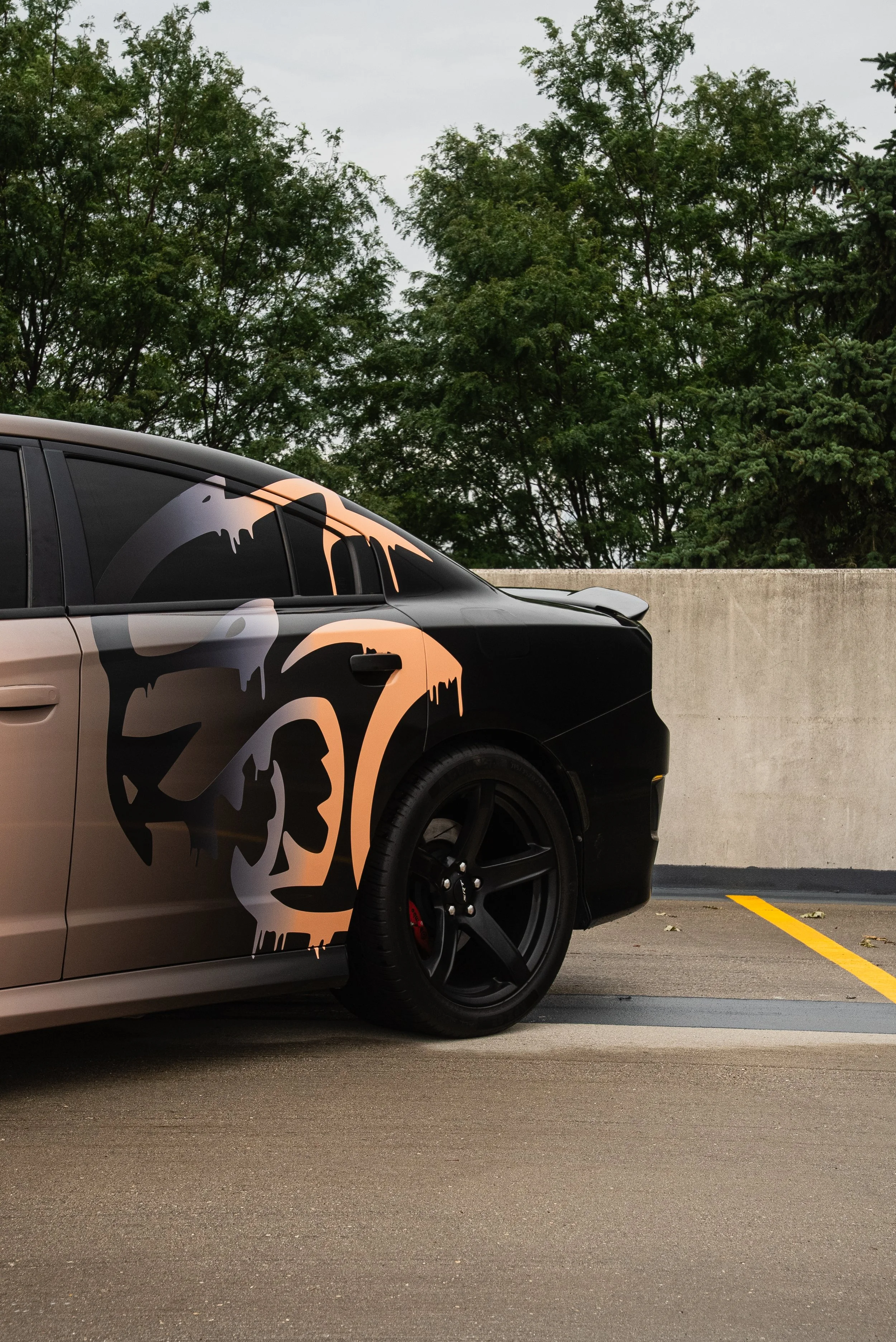 DSC05403.jpg