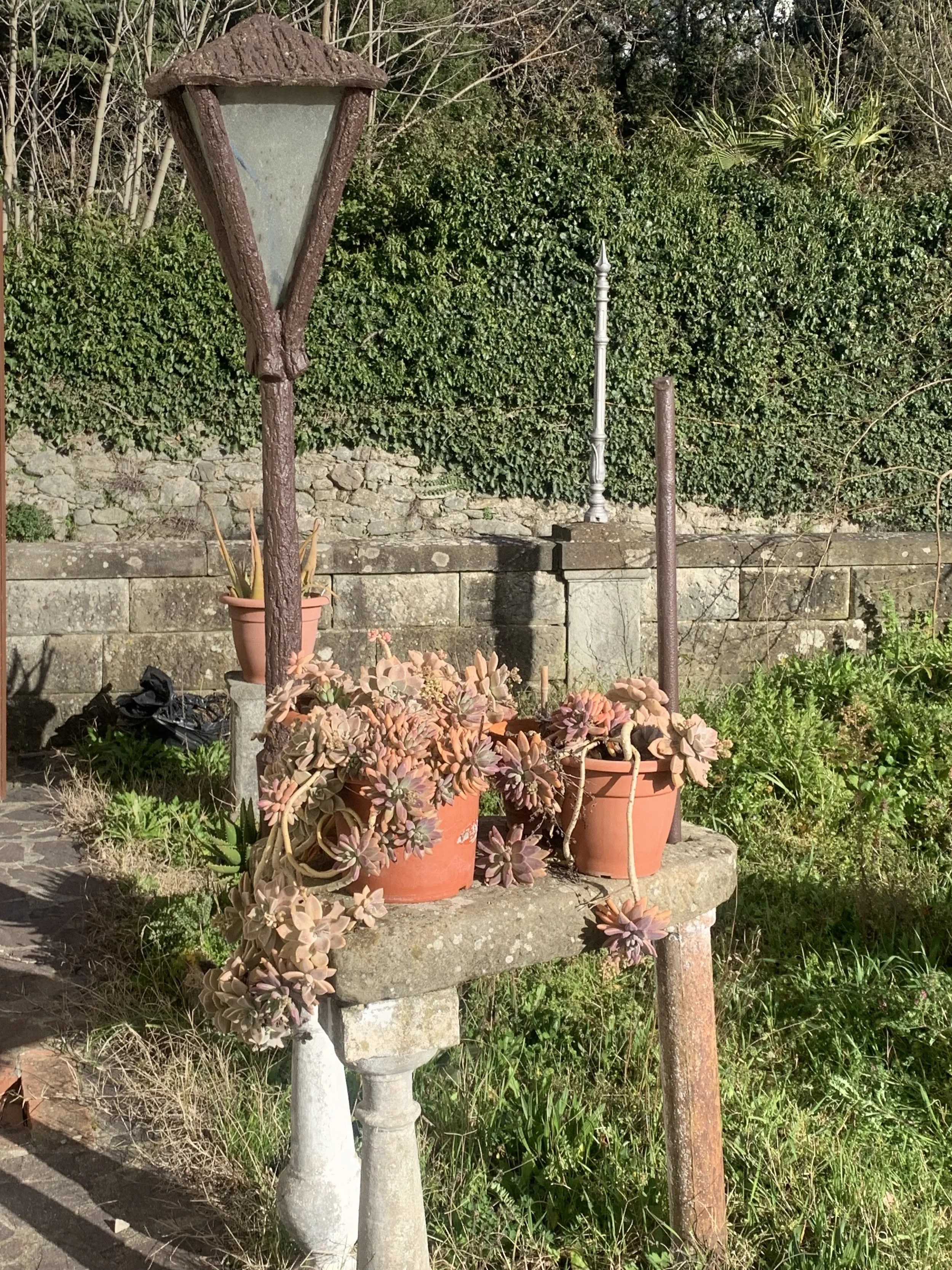 IMG_5583.jpeg