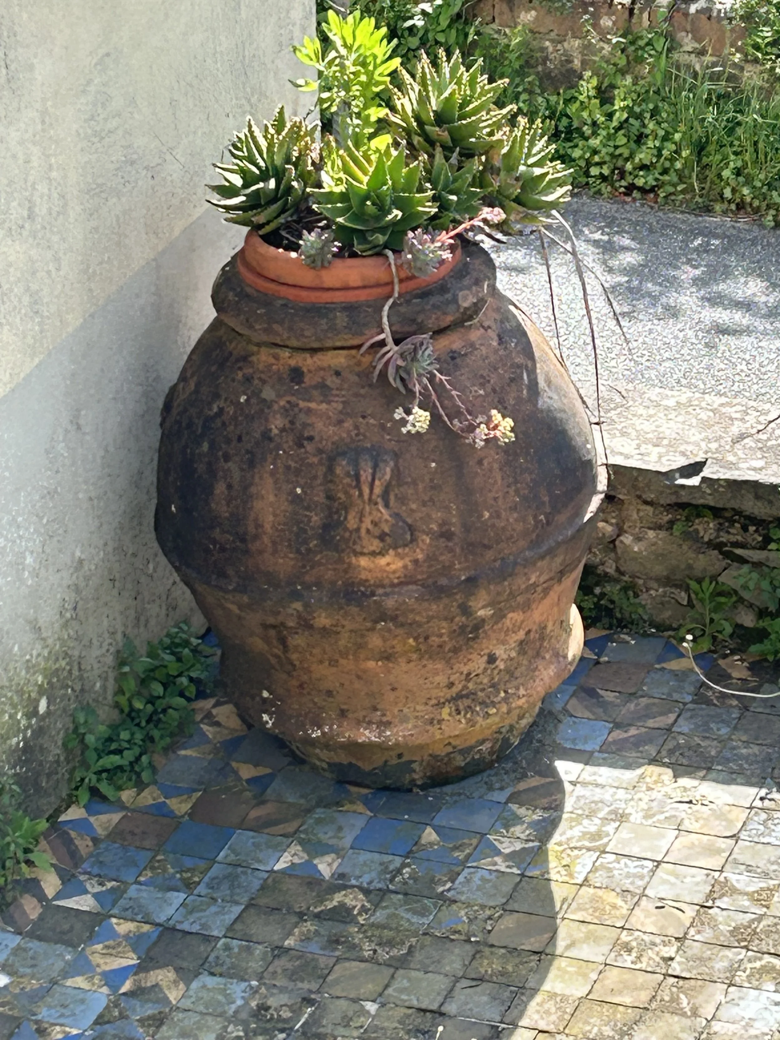 IMG_8443.jpeg