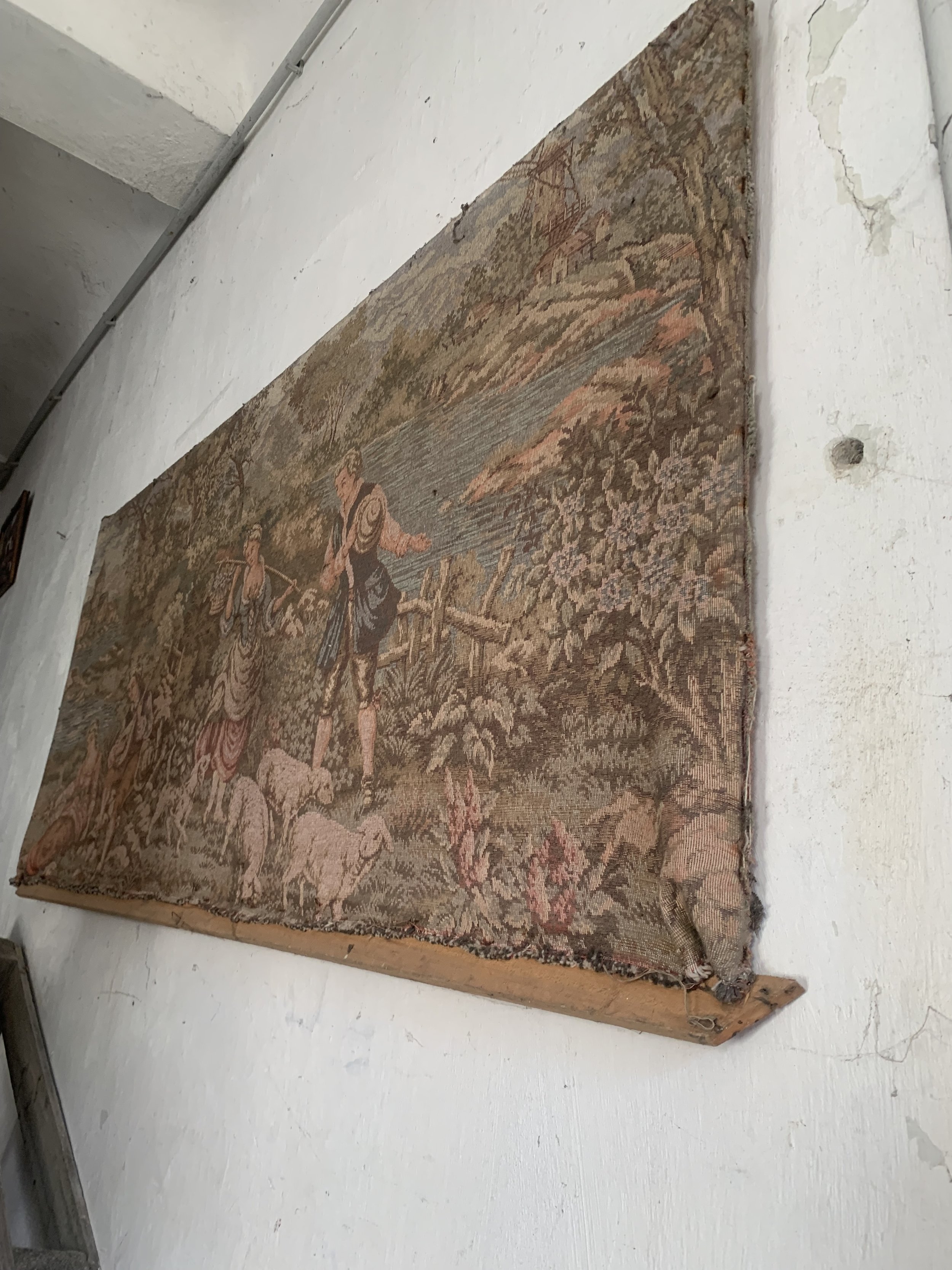 IMG_5597.jpeg