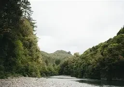 Waihoanga river image.webp