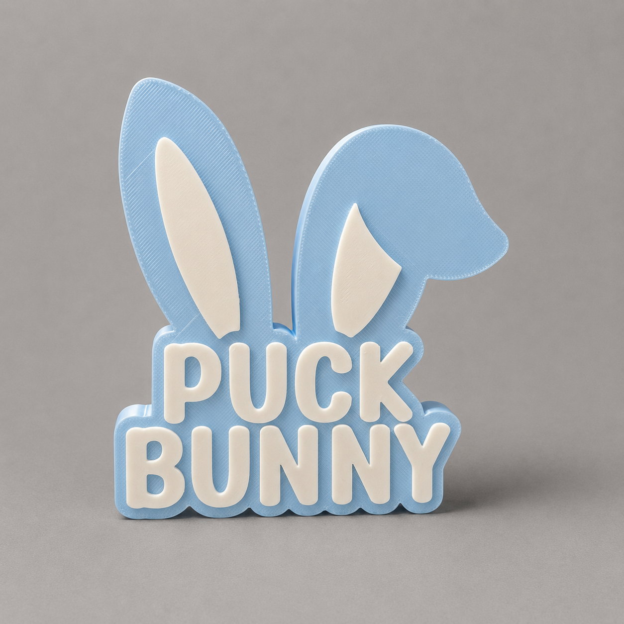 Puck Bunny B.png