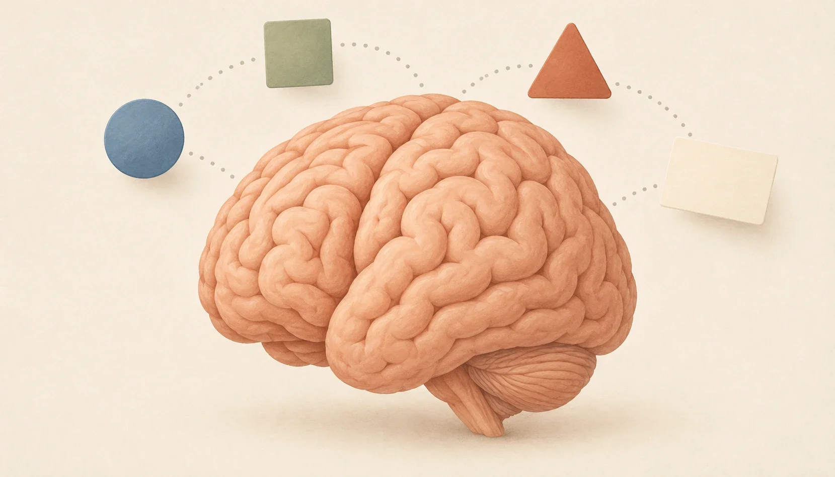 An illustrated brain is surrounded by simple shapes and dotted connections representing information held temporarily in working memory.
