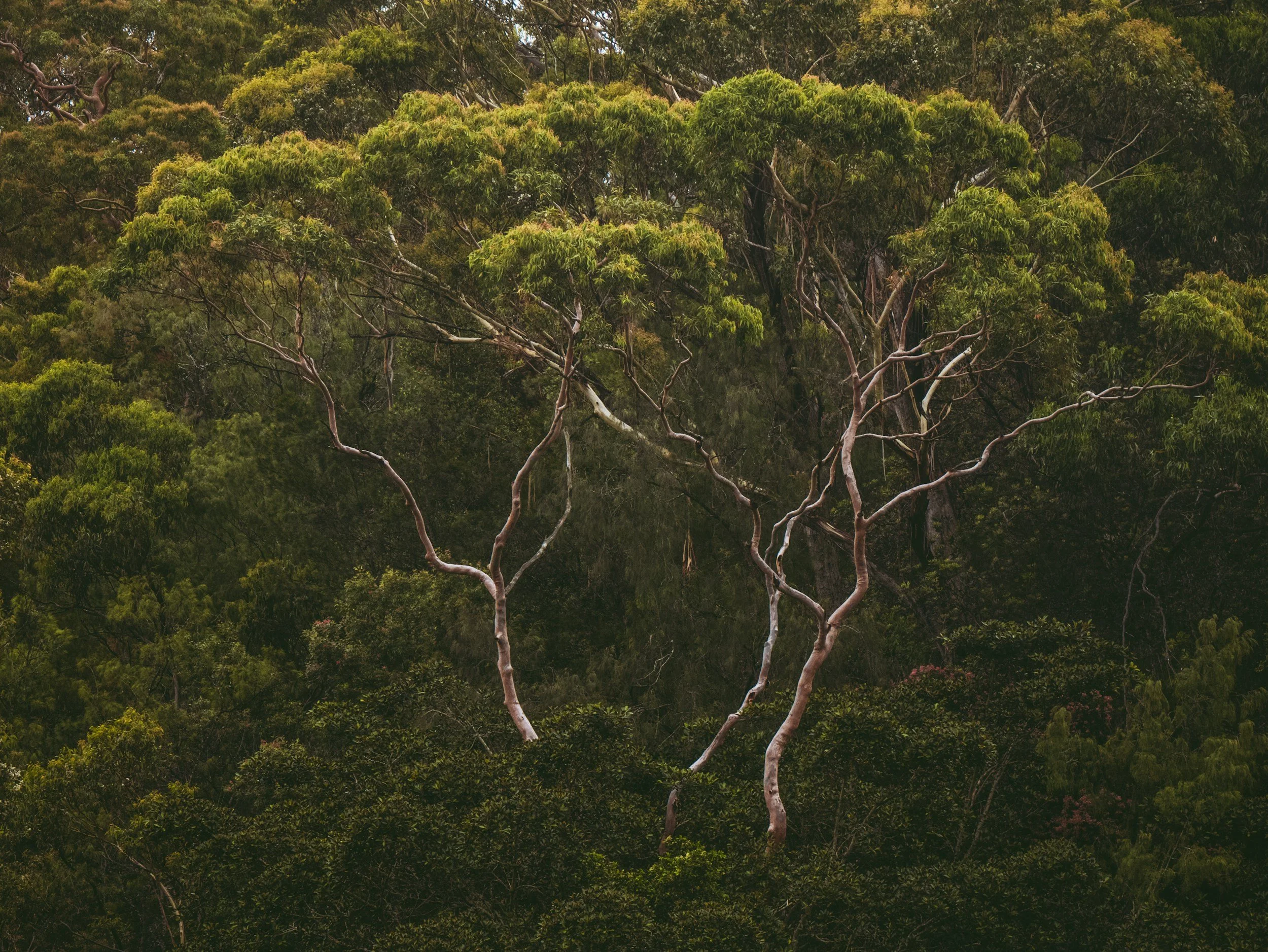 unsplash-image-Fr3aggTpzUU.jpg