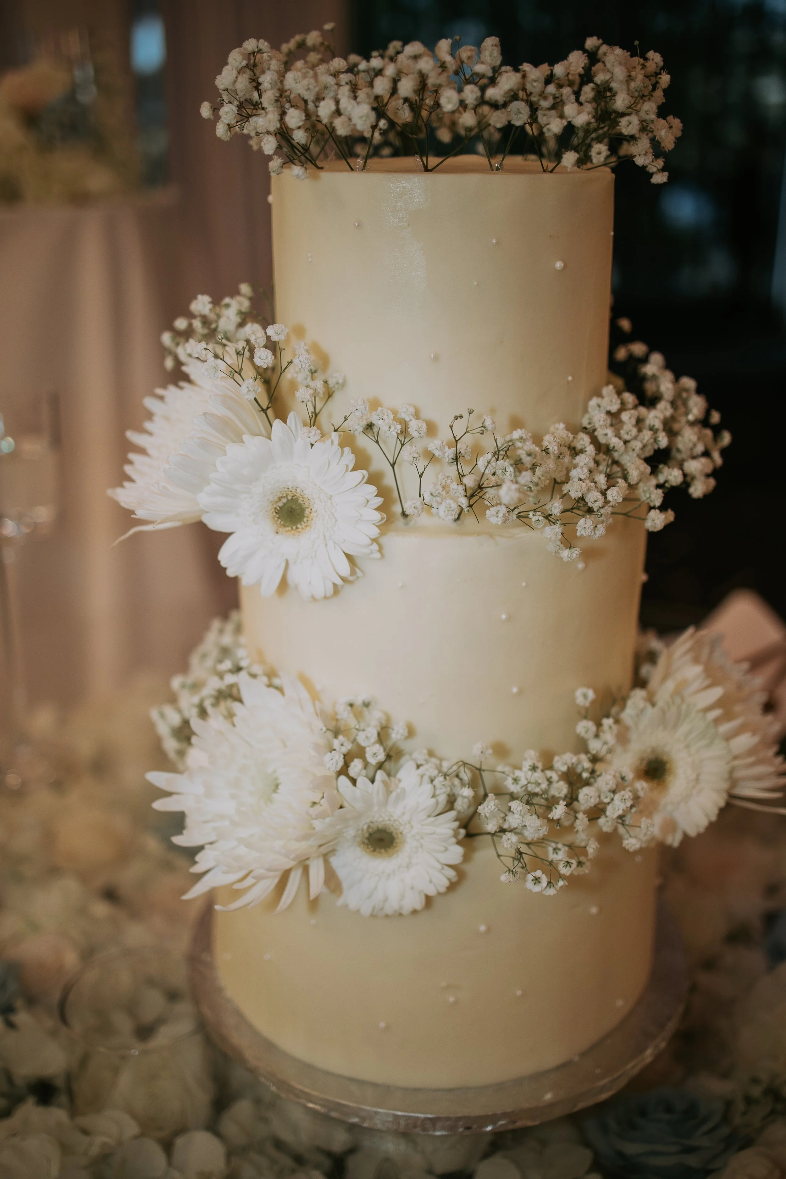 schmidt sneaks-36.jpg