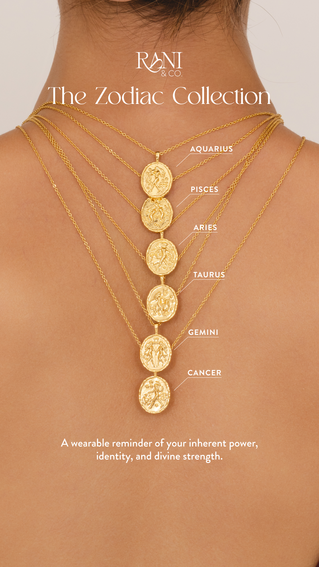 Zodiac Back 9x16.png