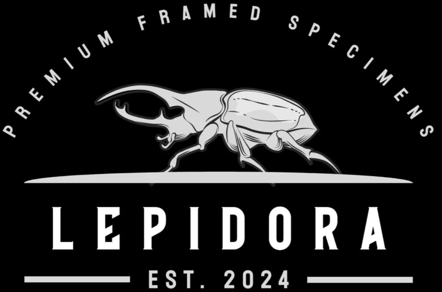 Lepidora Entomology, Premium Framed Specimens