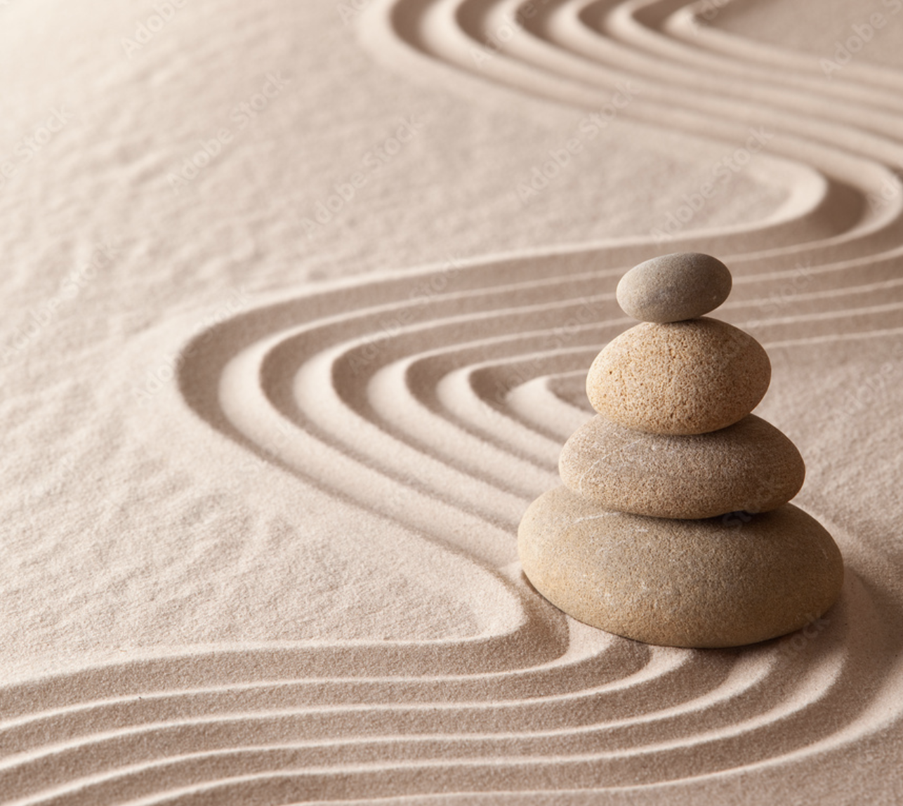 Meditation & Movement