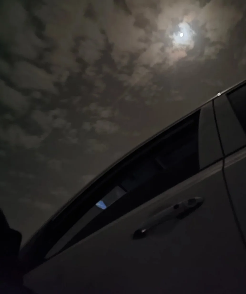 I survived another day