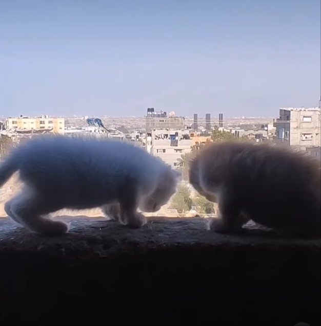 Save us, please!