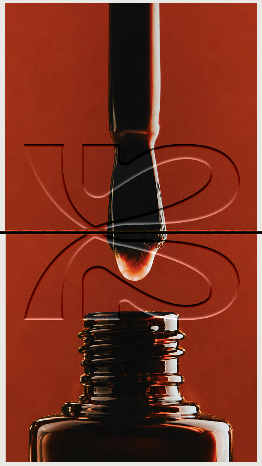 19.png