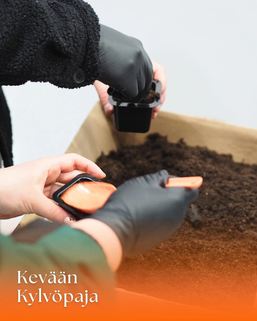 Koti Expossa p&auml;&auml;set kylv&auml;m&auml;&auml;n hy&ouml;tykasvien siemeni&auml; ammattilaisen opastuksella!🌿🌱

Nyt on t&auml;ydellinen aika kylv&auml;&auml;! Visio Pihan osastolla p&auml;&auml;set istuttamaan hy&ouml;tykasvien siemenet.🪴

H