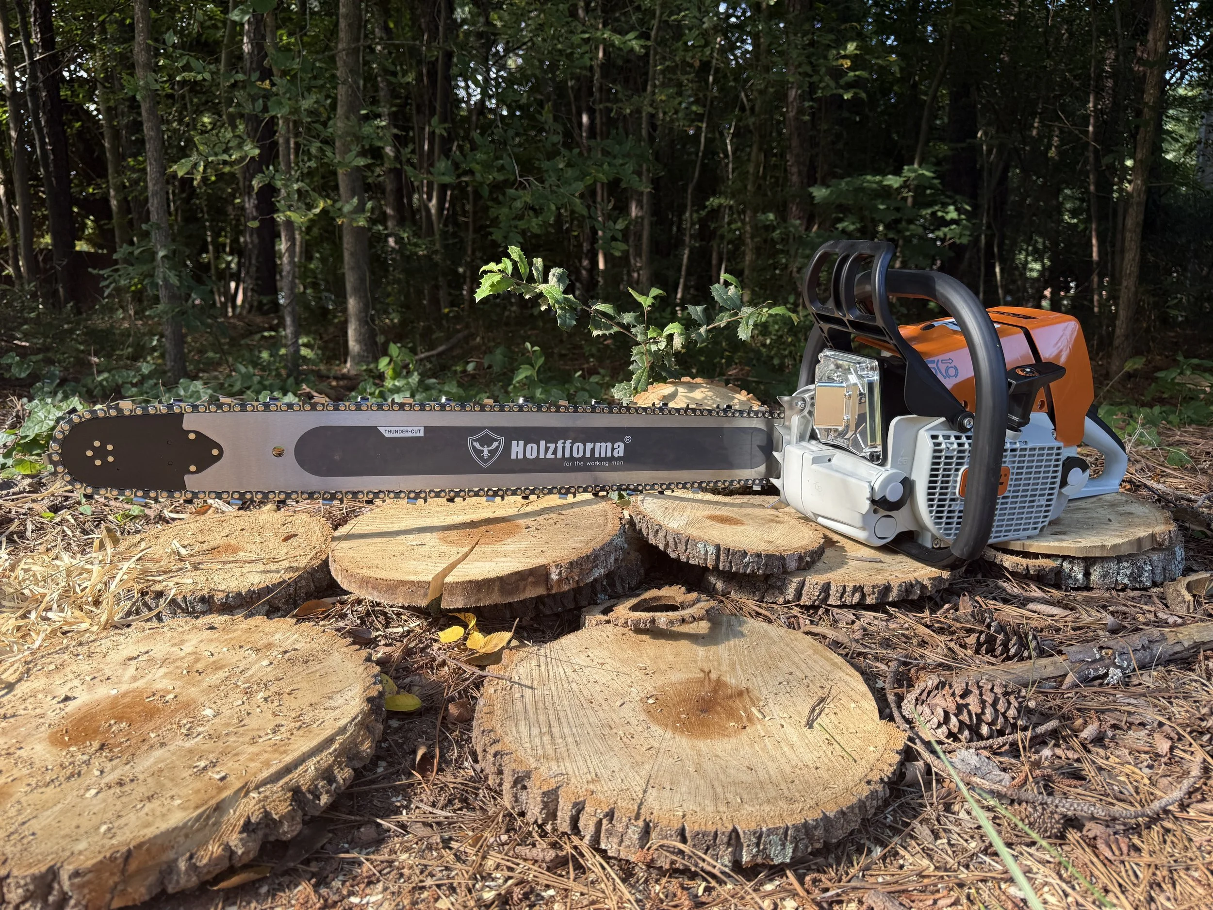 IMG_7395.jpeg (Copy) (Copy) (Copy)