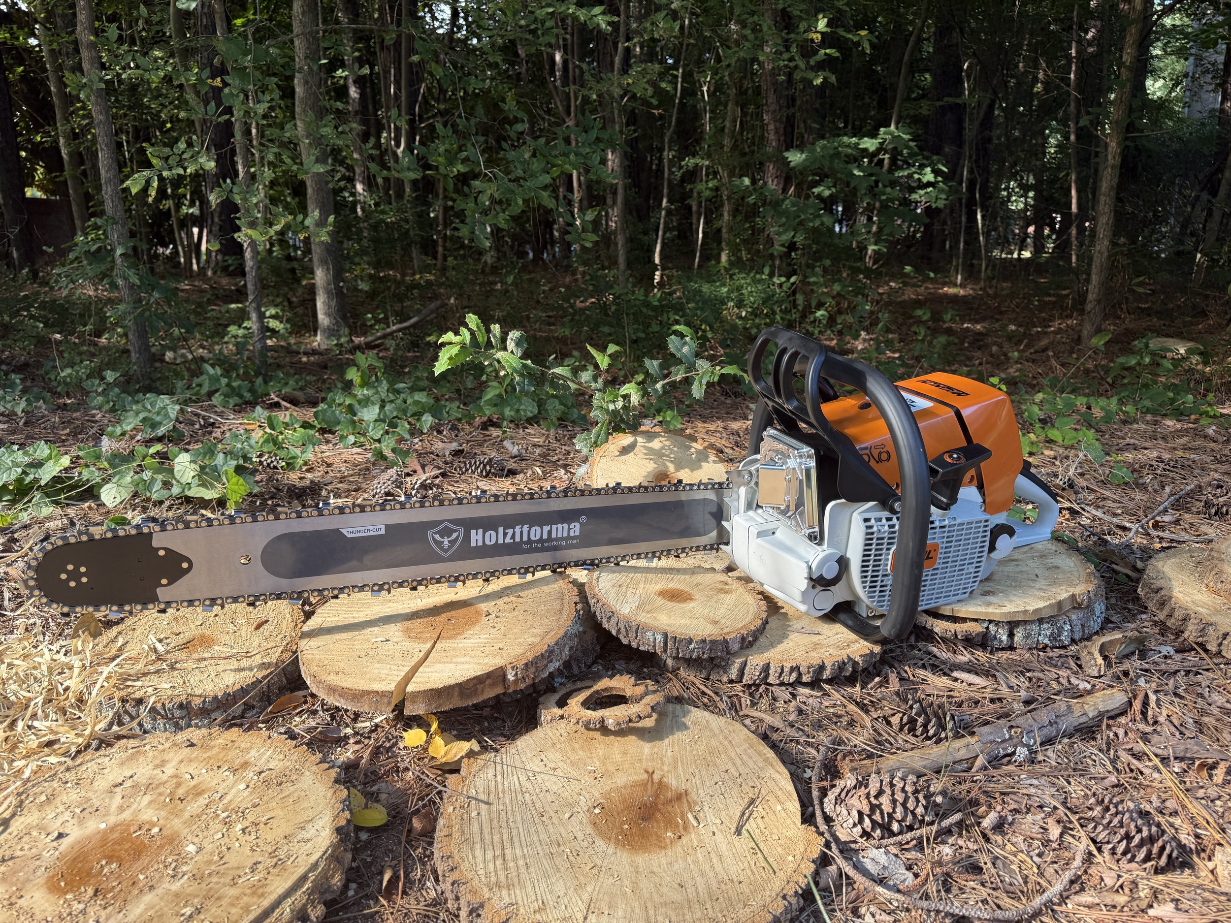 IMG_7394.jpeg (Copy) (Copy) (Copy)