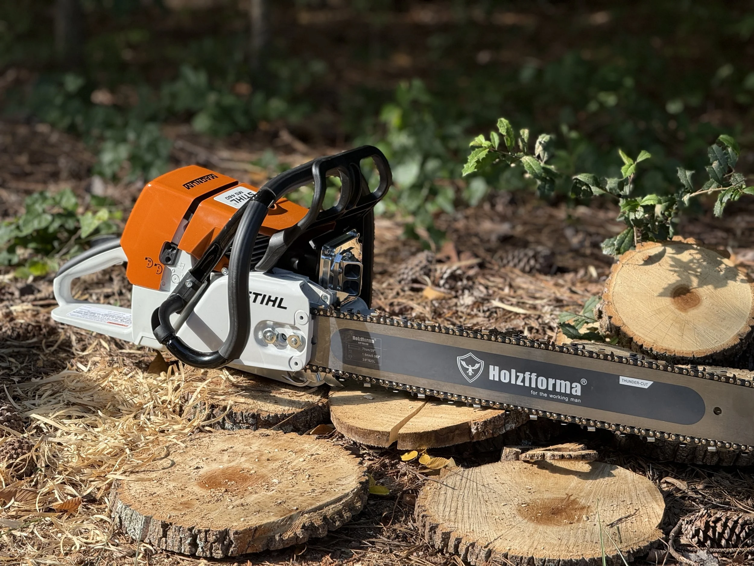 IMG_7391.jpeg (Copy) (Copy) (Copy)