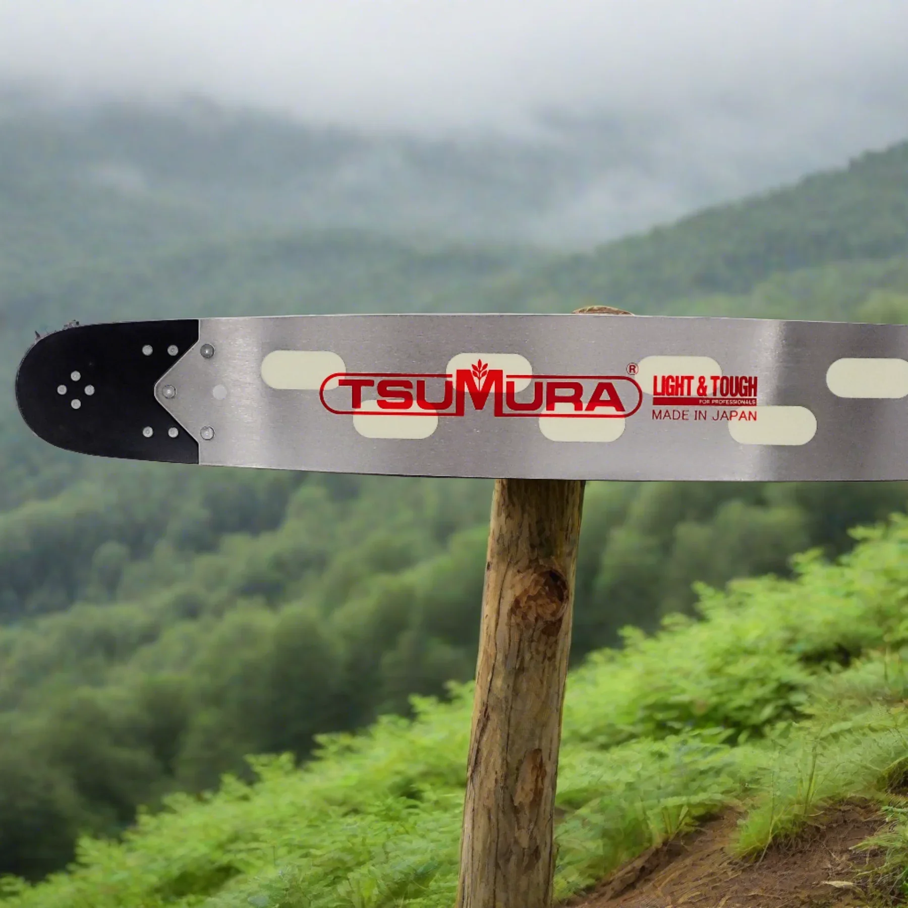 TsumuraLight.webp (Copy) (Copy)