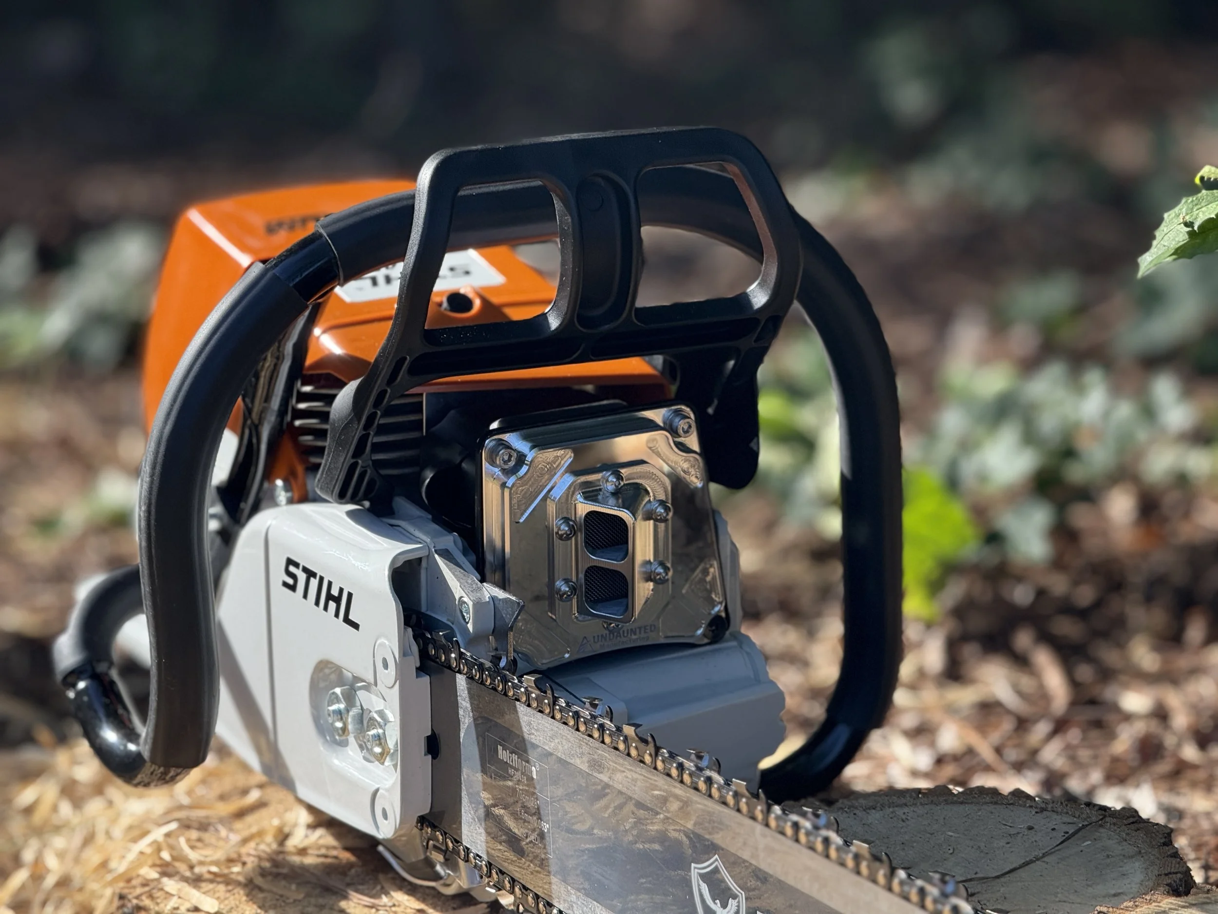 IMG_7390.jpeg (Copy) (Copy) (Copy)