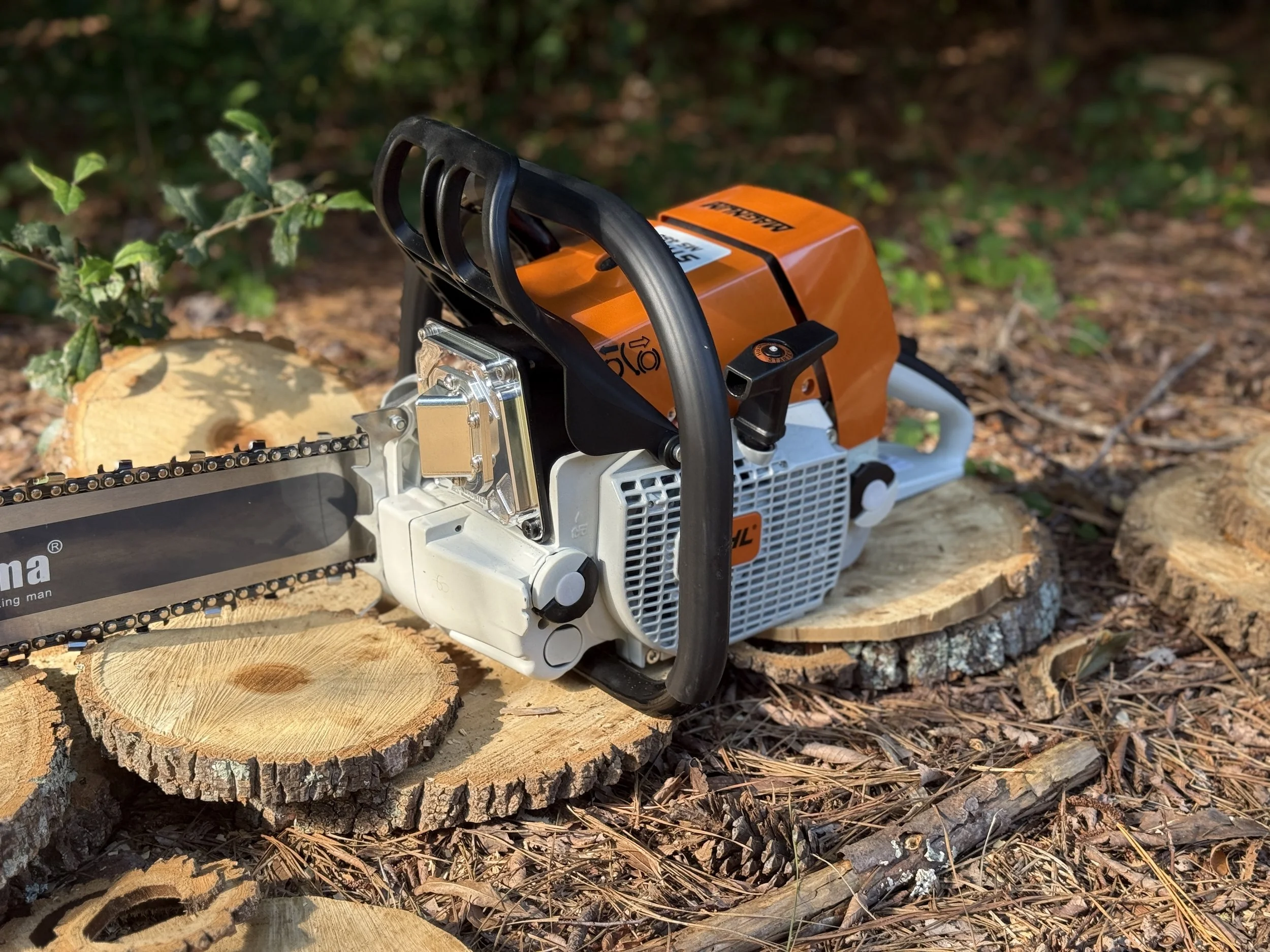 IMG_7400.jpeg (Copy) (Copy) (Copy)