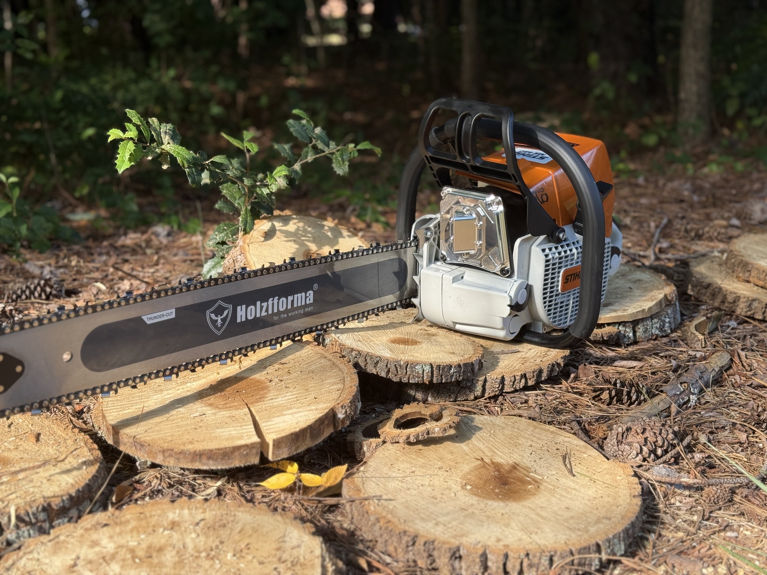 IMG_7399.jpeg (Copy) (Copy) (Copy)