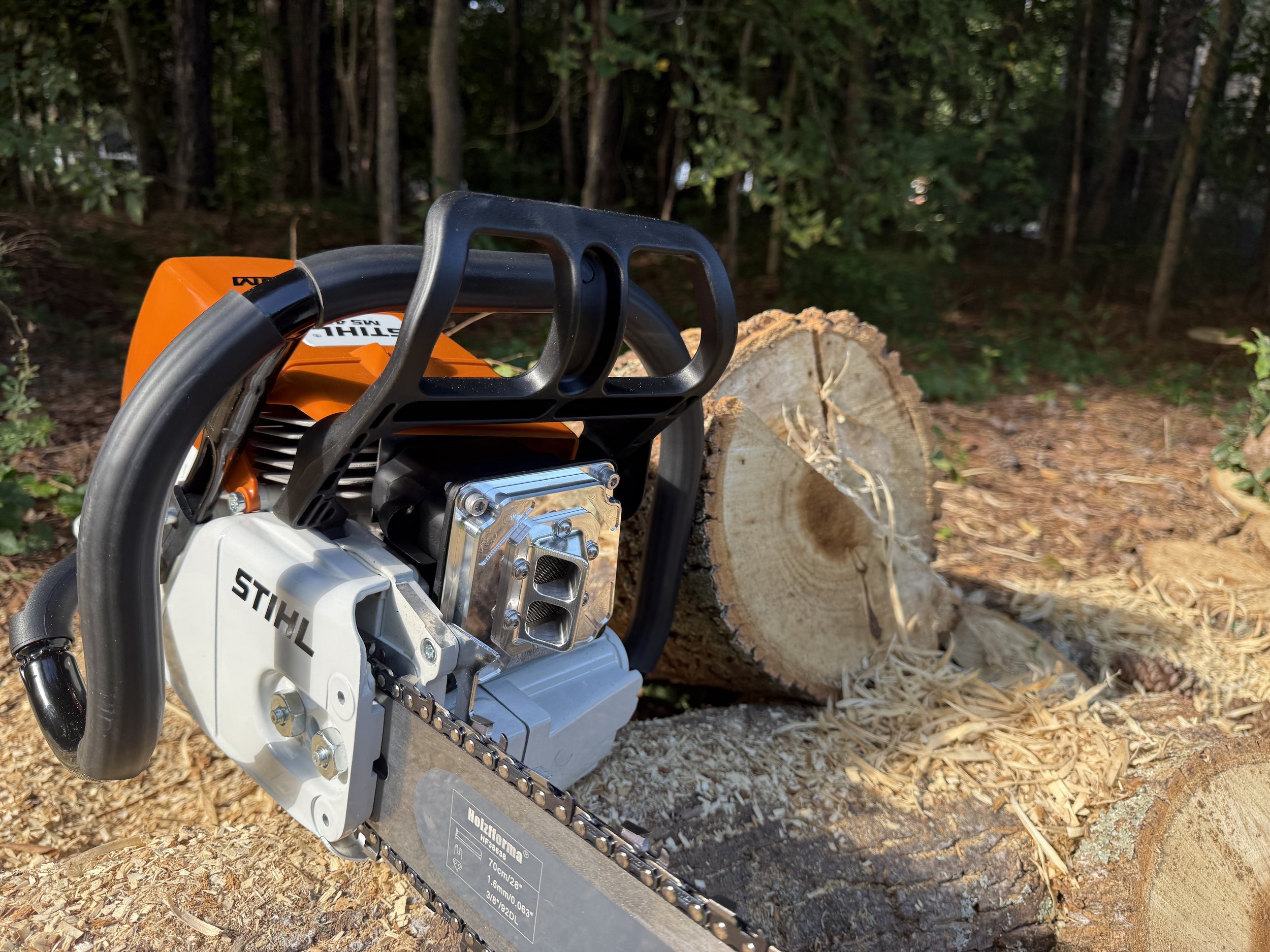 IMG_7387.jpeg (Copy) (Copy) (Copy)