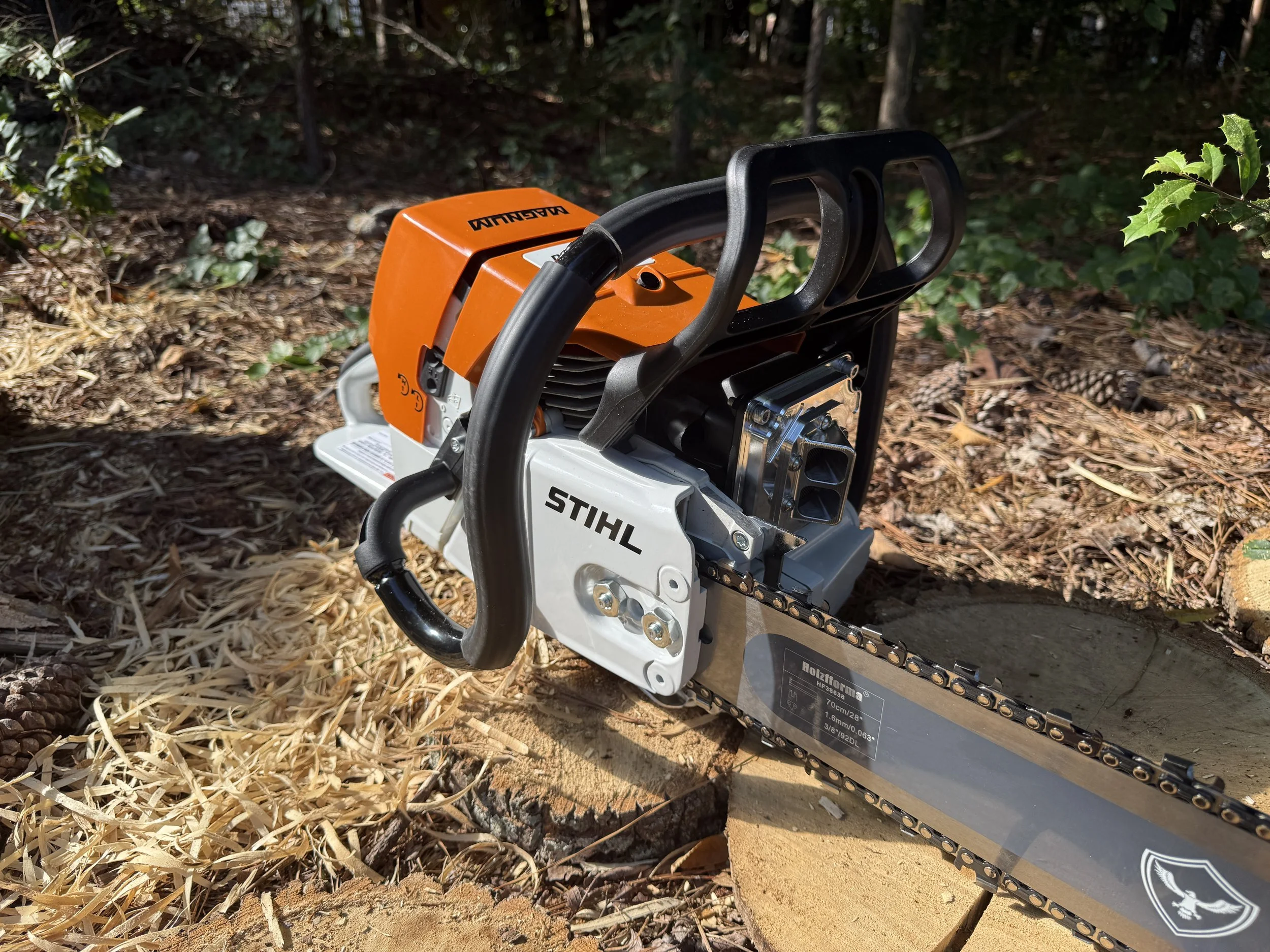 IMG_7393.jpeg (Copy) (Copy) (Copy)