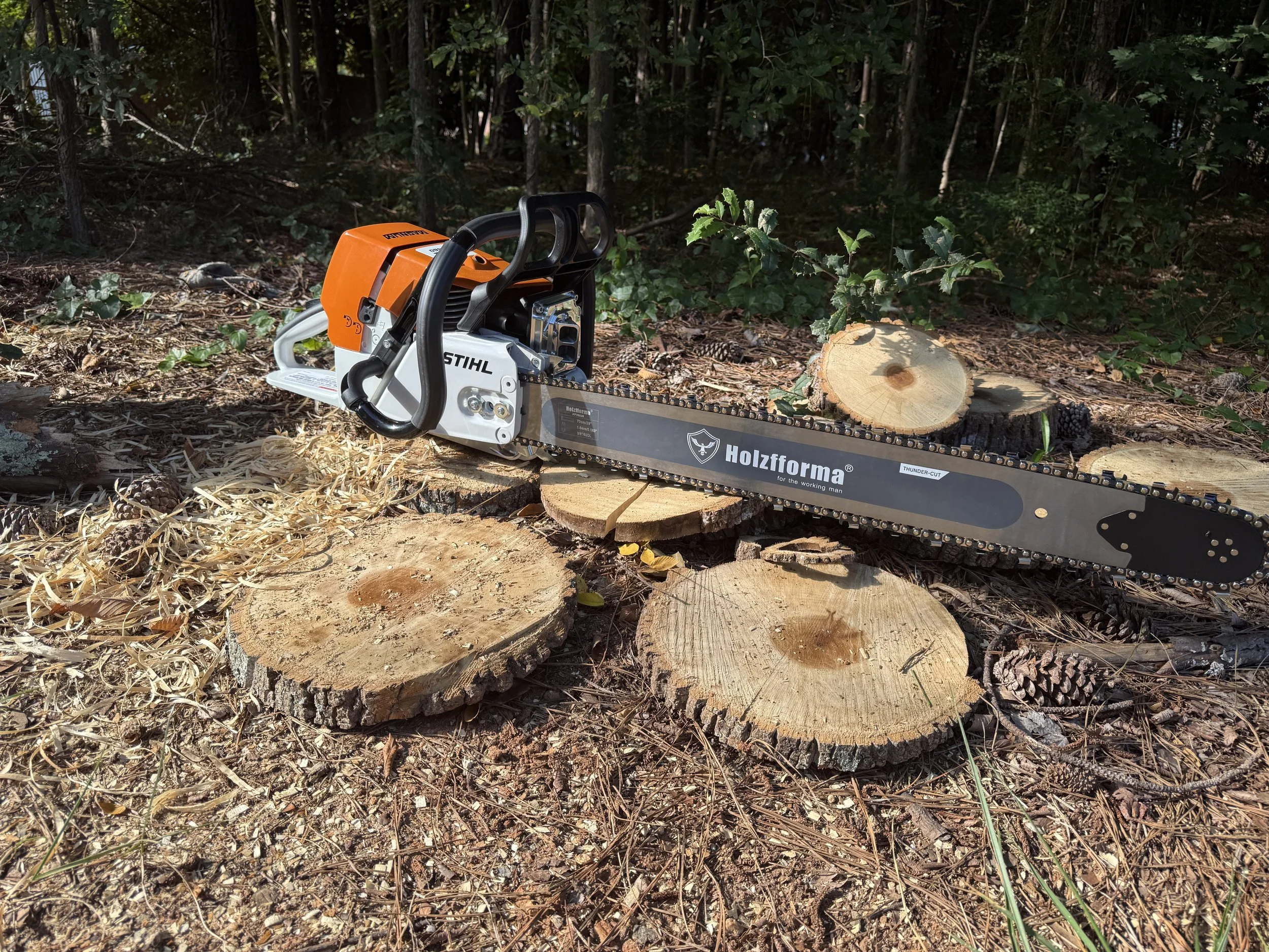 IMG_7392.jpeg (Copy) (Copy) (Copy)