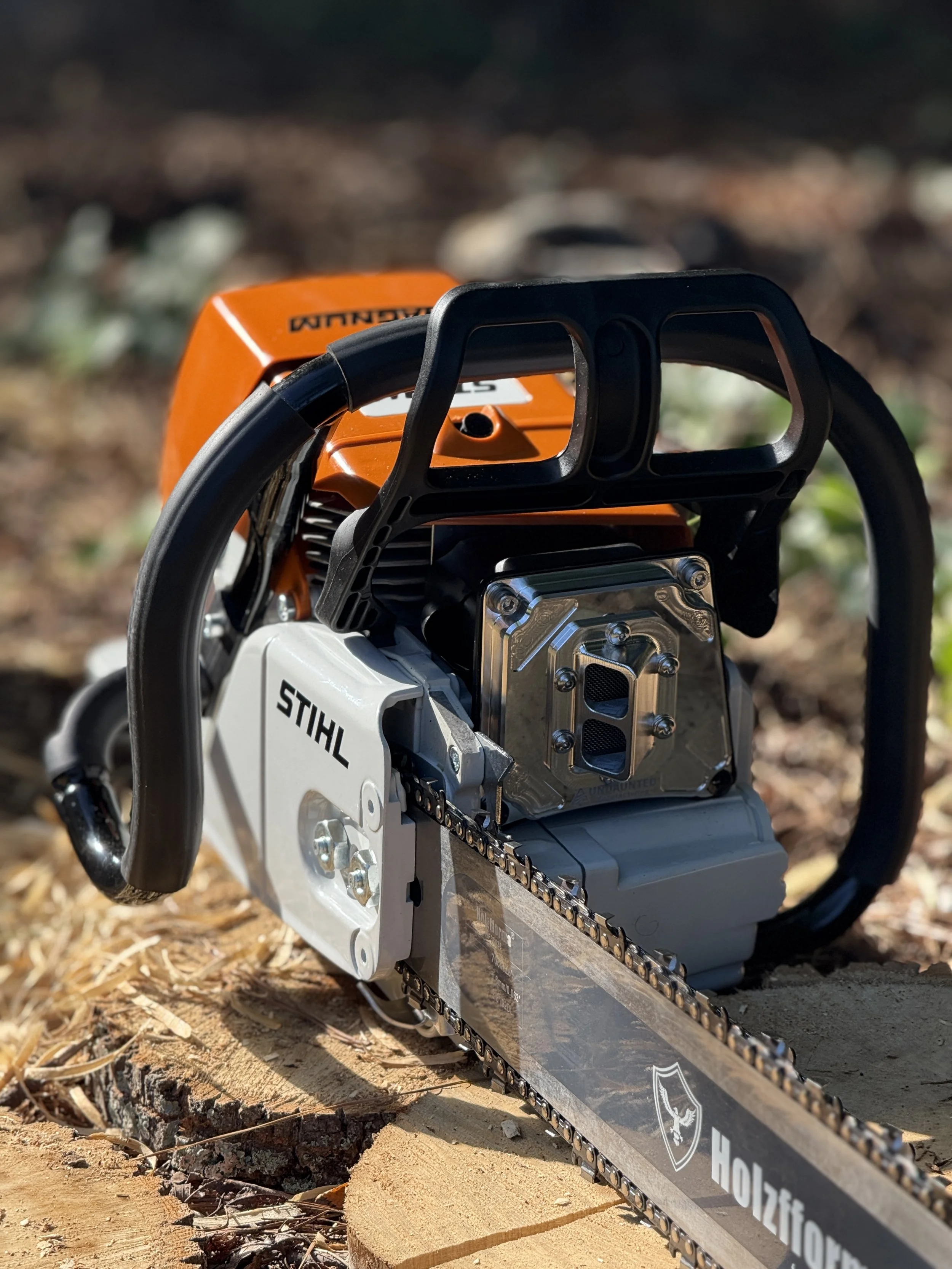 IMG_7389.jpeg (Copy) (Copy) (Copy)