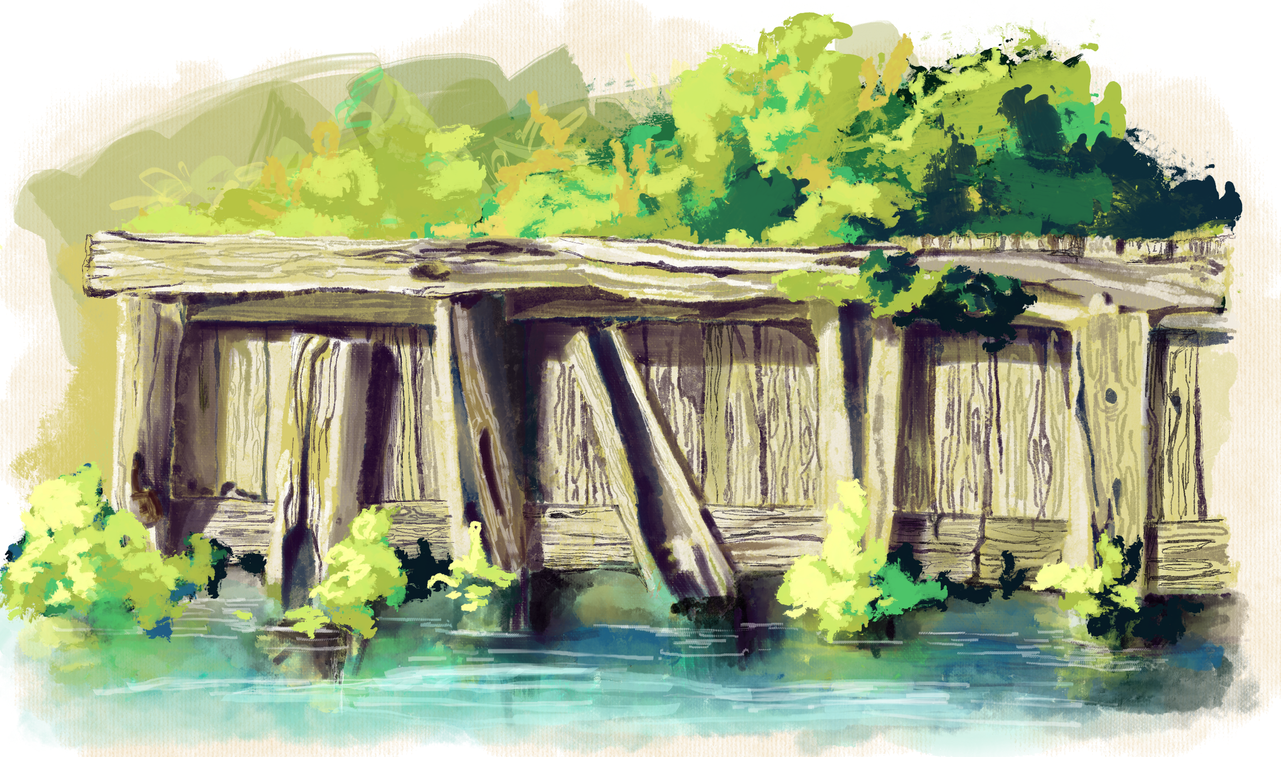 Untitled_Artwork (1).png