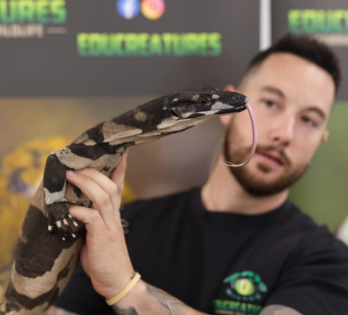 Check out that bifurcated forked 👅 on our Lace monitor (Varanus Varius). Like snakes, they use this to smell and locate their prey! #educreatures #educreatureszoo #wildlife #nature #wildlifephotography #animals #wild #photooftheday #conservation