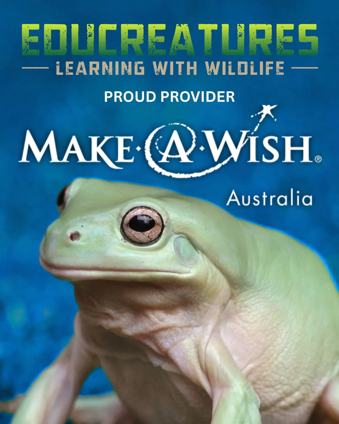 🌟 We have some exciting news! 🌟
EduCreatures is now an official Make-A-Wish&reg; provider. We feel truly privileged to share our animals with wish kids and their families 🐊🐸🦎🦉🐢🦇🦘🐍🦂 #educreatures #educreatureszoo #wildlife #nature #wildlife