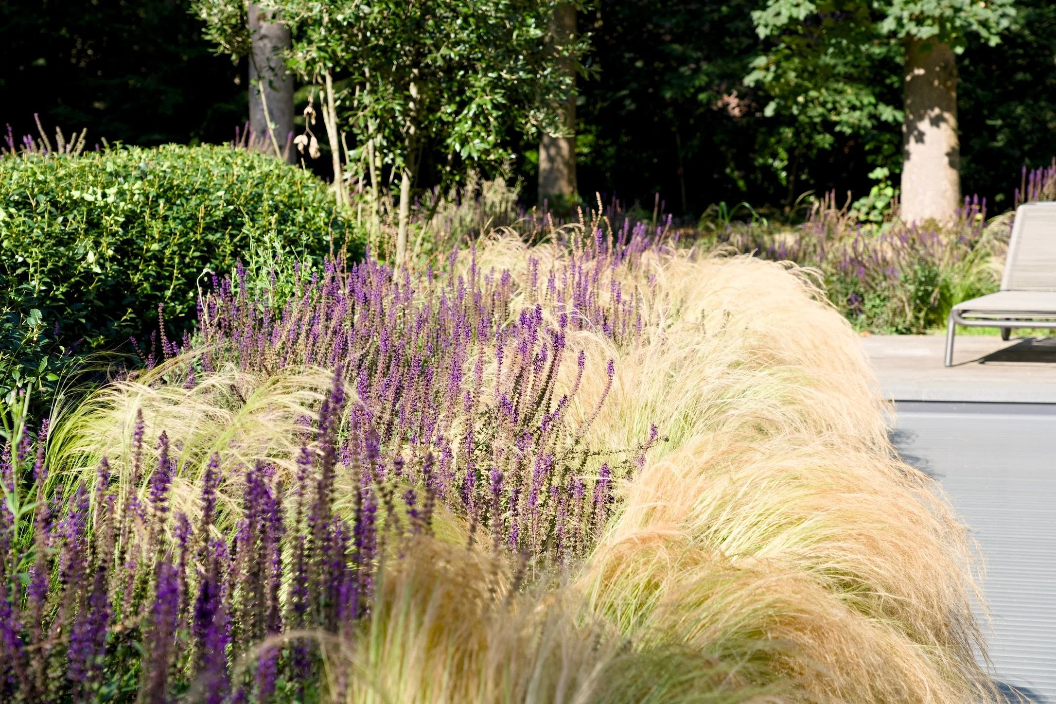 A landscaped garden with purple flowering plants, ornamental grasses, green shrubbery, trees, and a gray outdoor bench on a wooden deck.