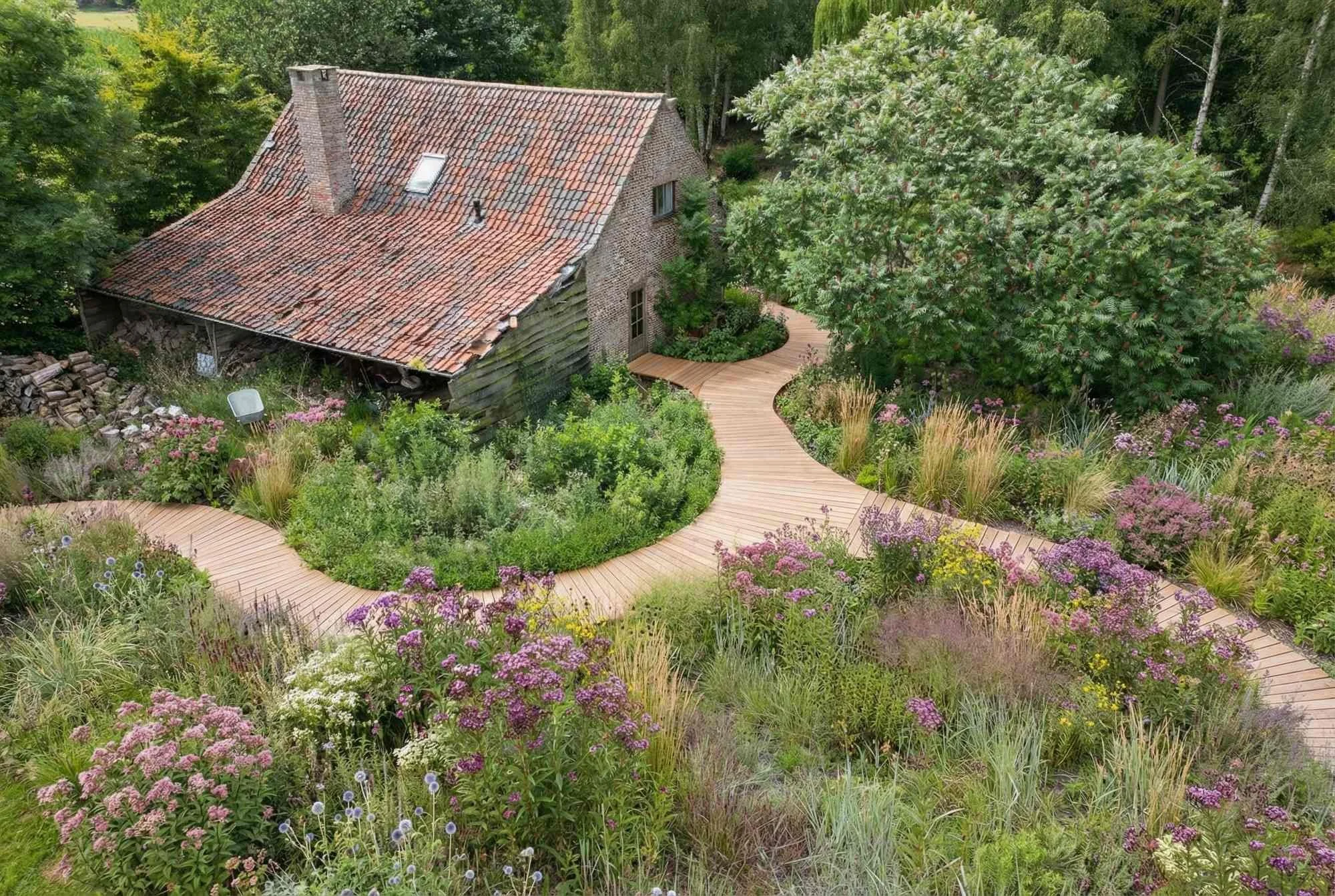 Luchtbeeld van een landelijke tuin met een golvend houten vlonderpad dat door een weelderige paarse en roze bloemenborder slingert bij een authentiek stenen bijgebouw.