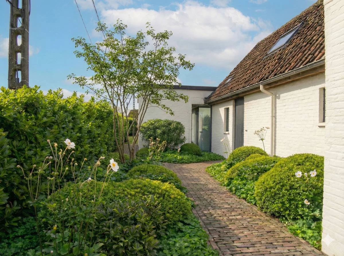 Gezellig tuinpad van oude gebakken klinkers leidend naar een witte woning, omgeven door groene plantenwolken, witte herfstanemonen en een meerstammige boom.