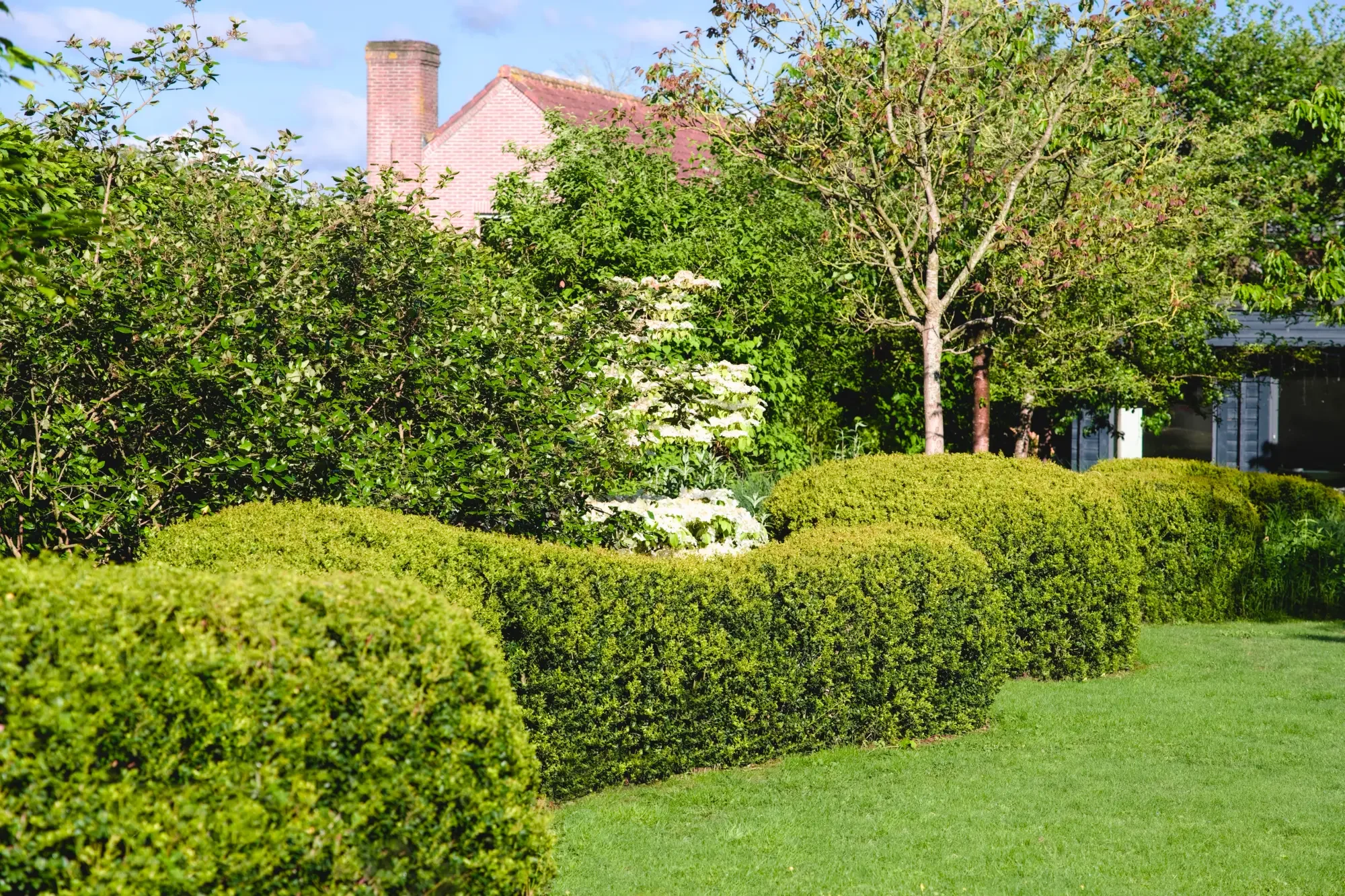 A lush green backyard with well-manicured bushes, a green lawn, and trees, with a house in the background featuring a pink brick chimney and a red roof.