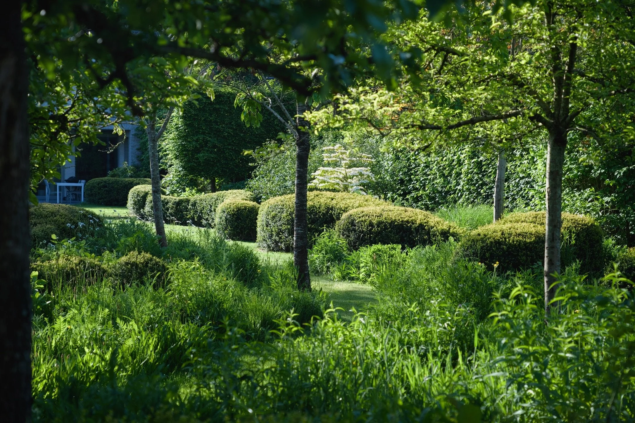 Strakke tuin met lage geschoren organische hagen, fruitbomen, wild bloemenmengsel en gazon paadjes, straalt klasse uit.