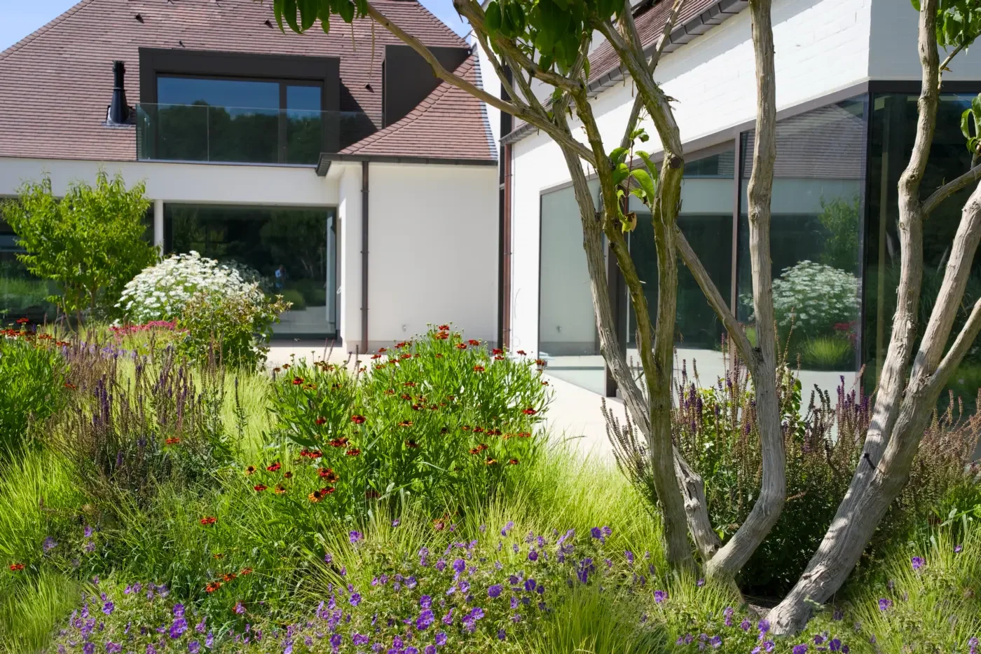 Modern house with large glass windows and a garden with various flowers and trees in bright sunlight.