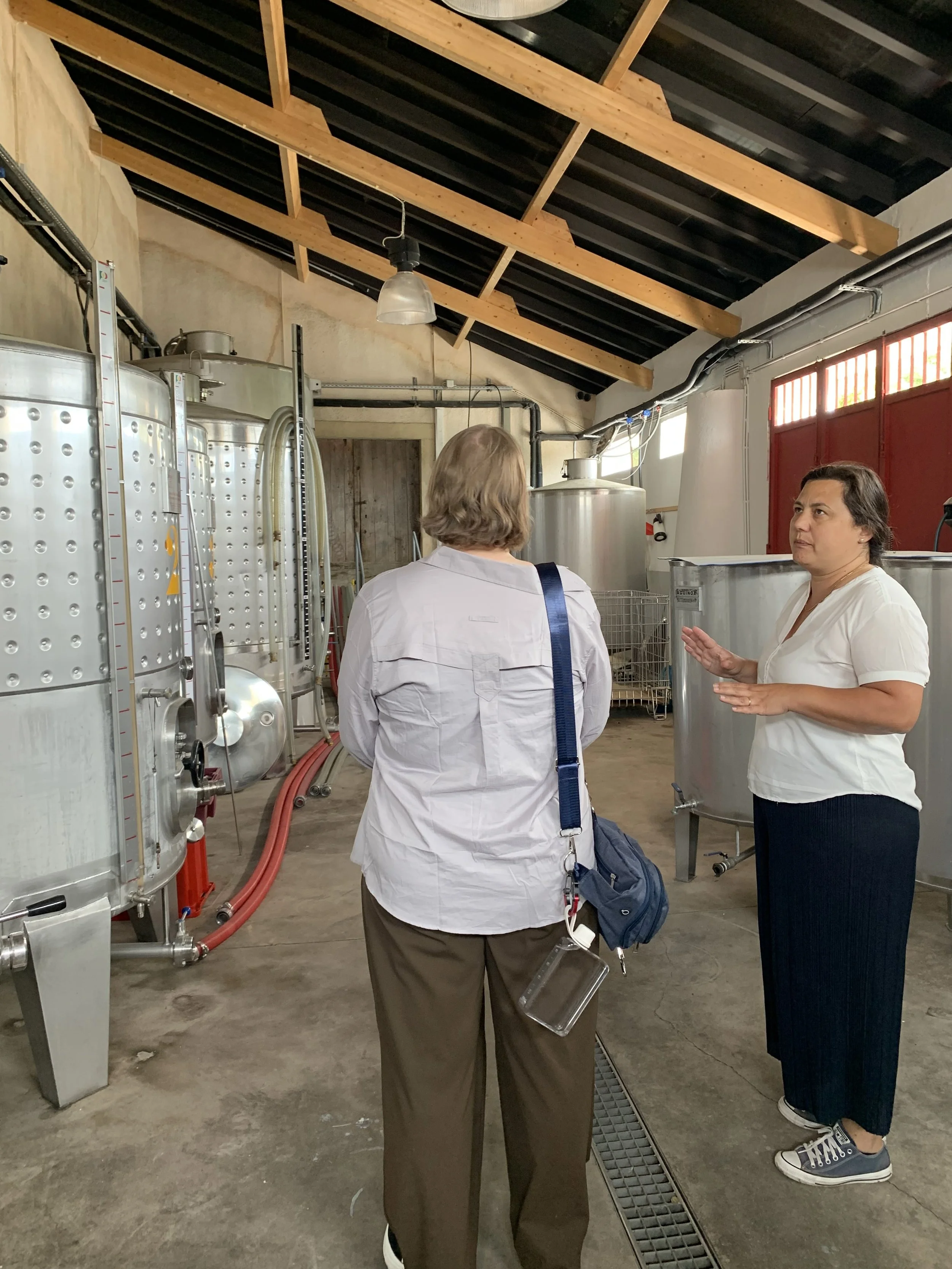 Wine tasting in the Tejo Region