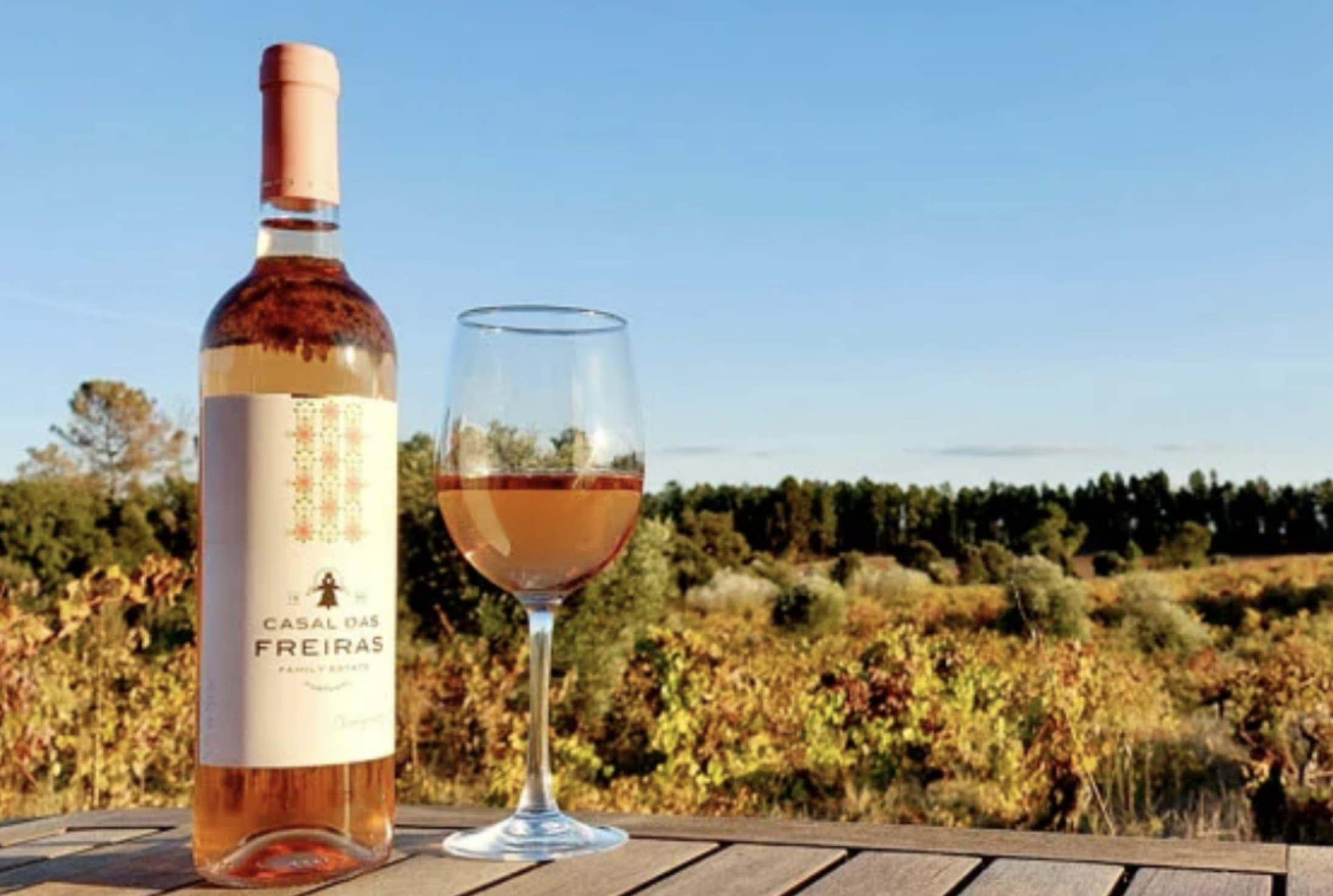 Beyond the Castle: Combining Templar History with a Private Tomar Wine Tasting