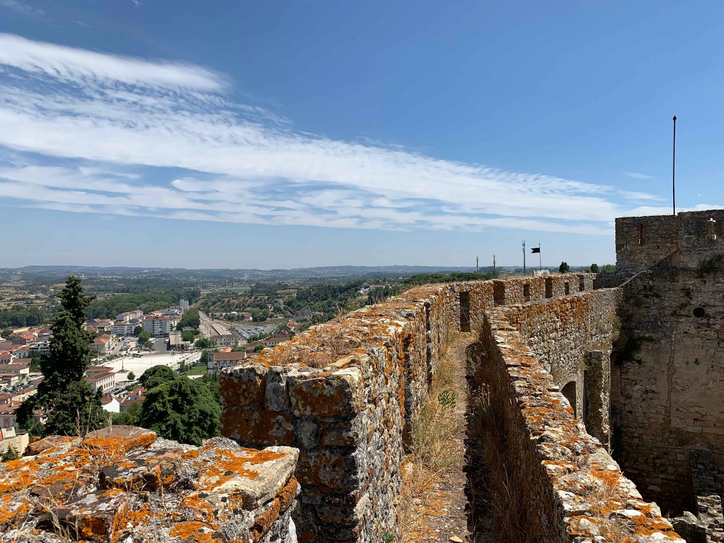 Rethinking the 1190 Siege of Tomar: Dysentery over Daggers?
