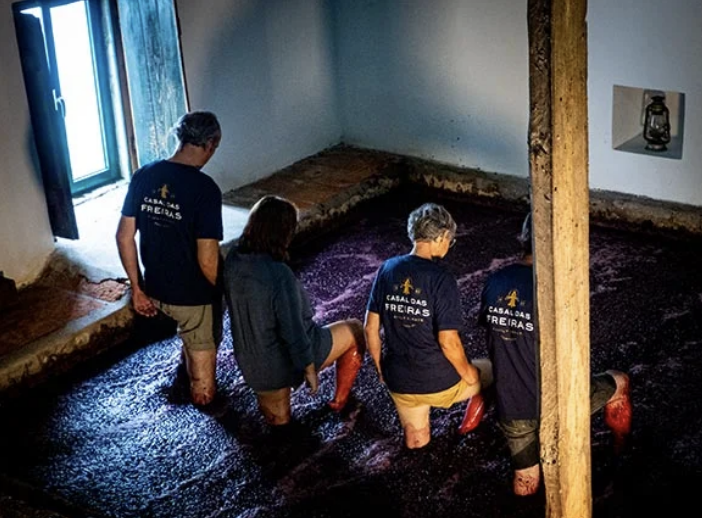 Traditional wine pressing in Tomar