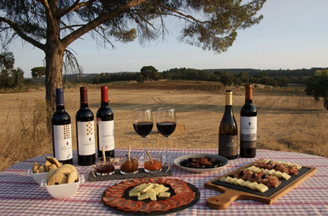 Stunning wine tasting accompanied by food in a perfect setting