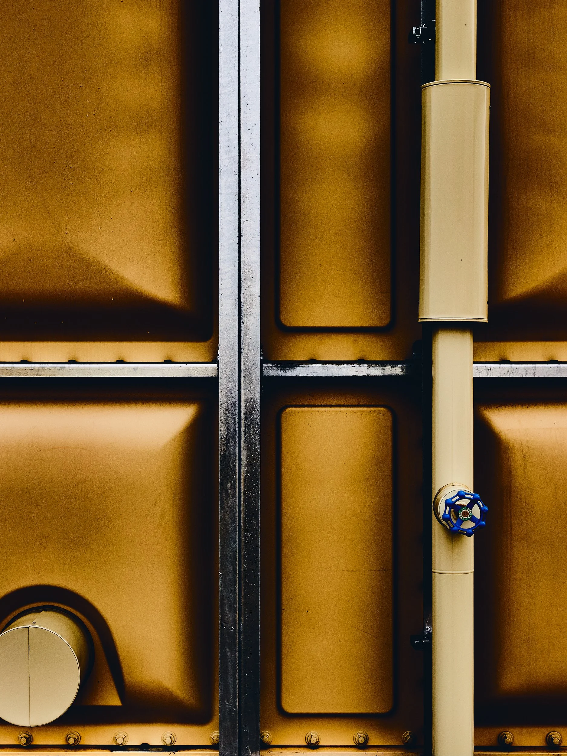 longlifeday210610_ 007.jpeg