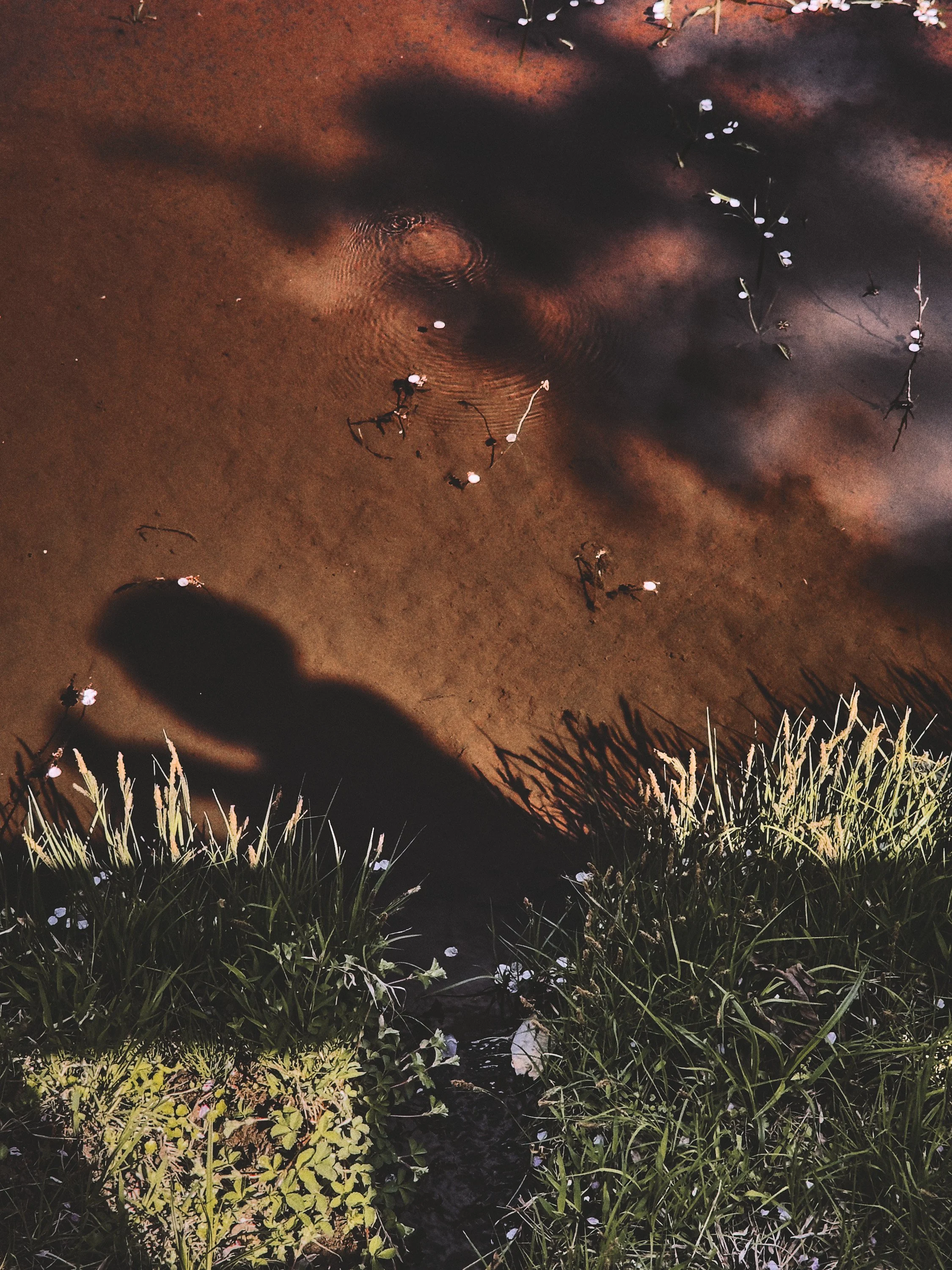 03_TETSUYA OOMURO.jpg