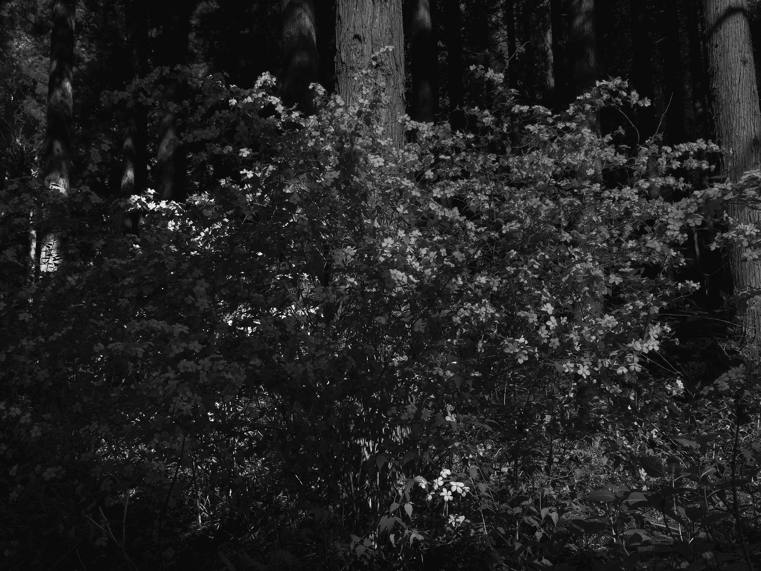 14_TETSUYA OOMURO.jpg