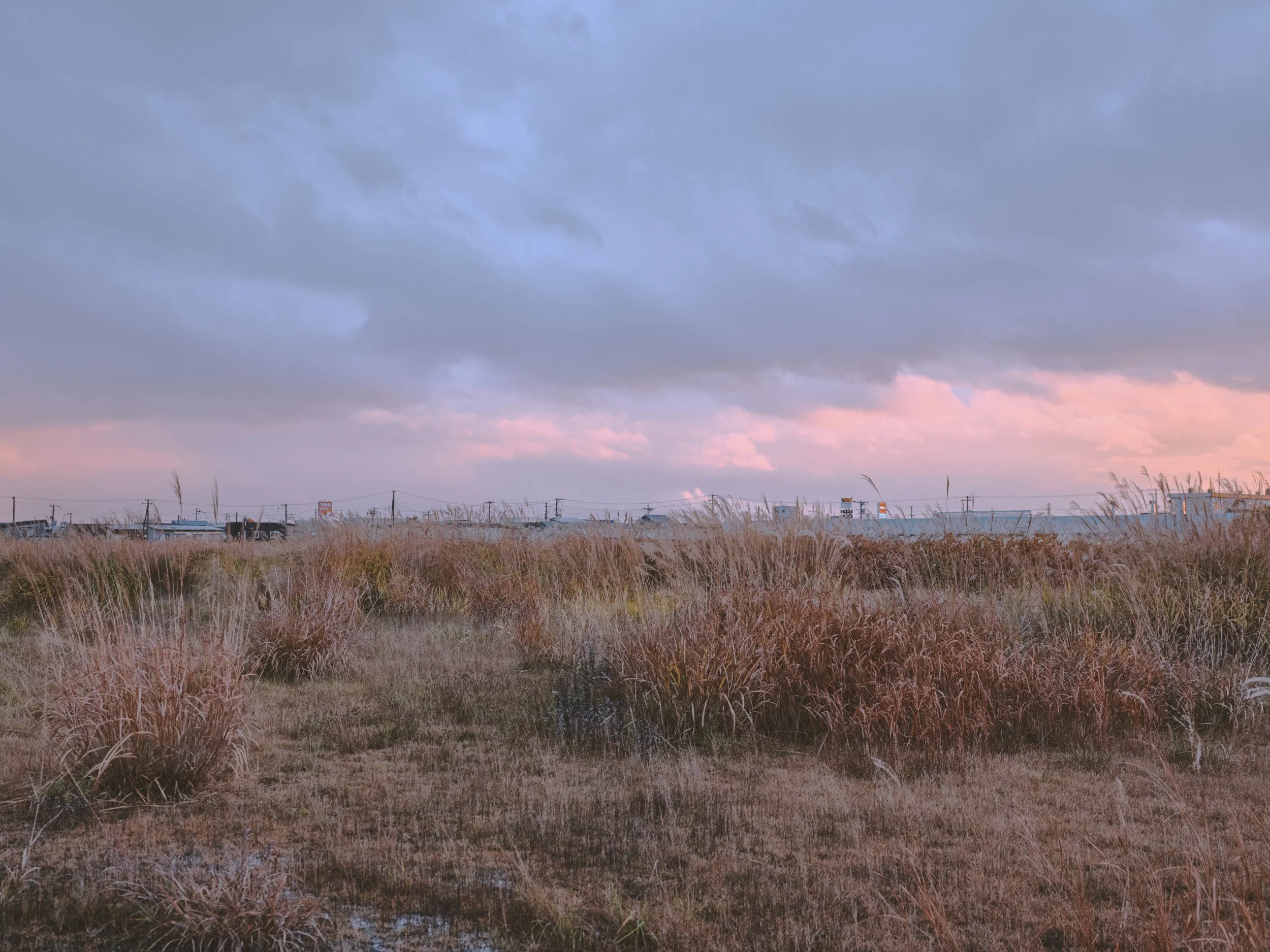 aomori221106_ 049.jpeg